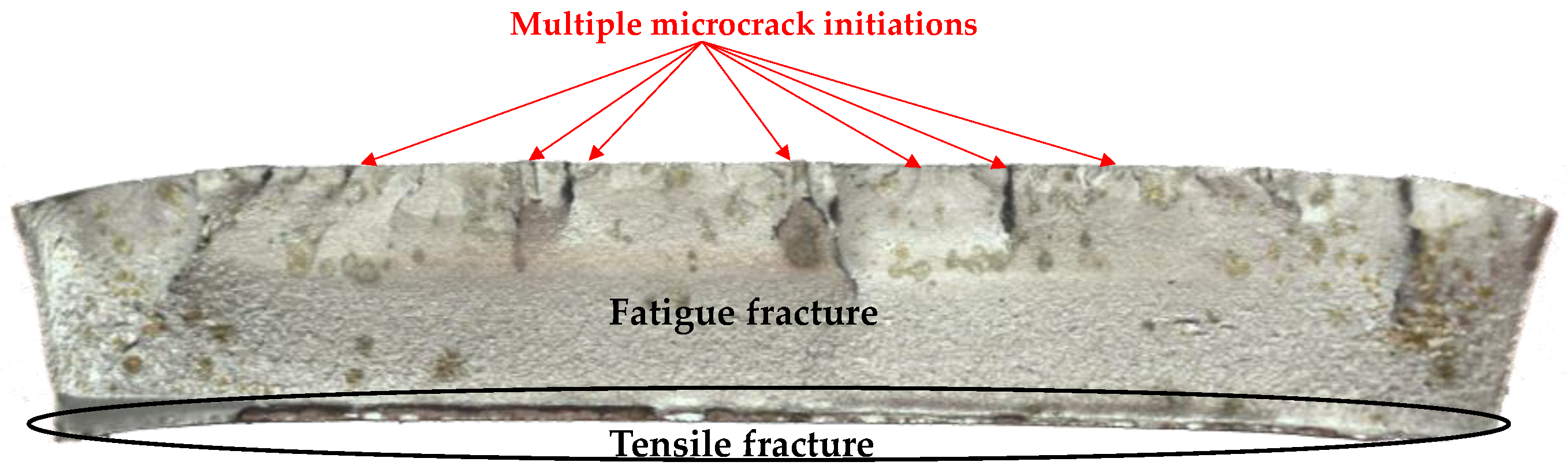 Proceedings 02 00373 g005