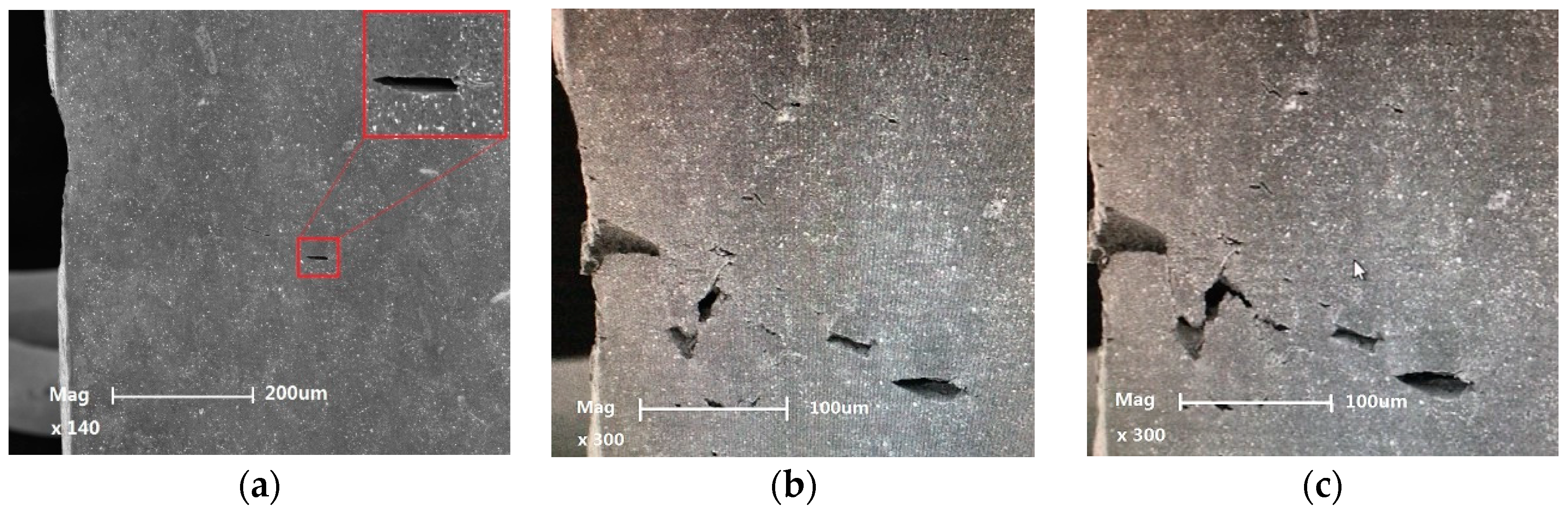 Proceedings 02 00507 g003a
