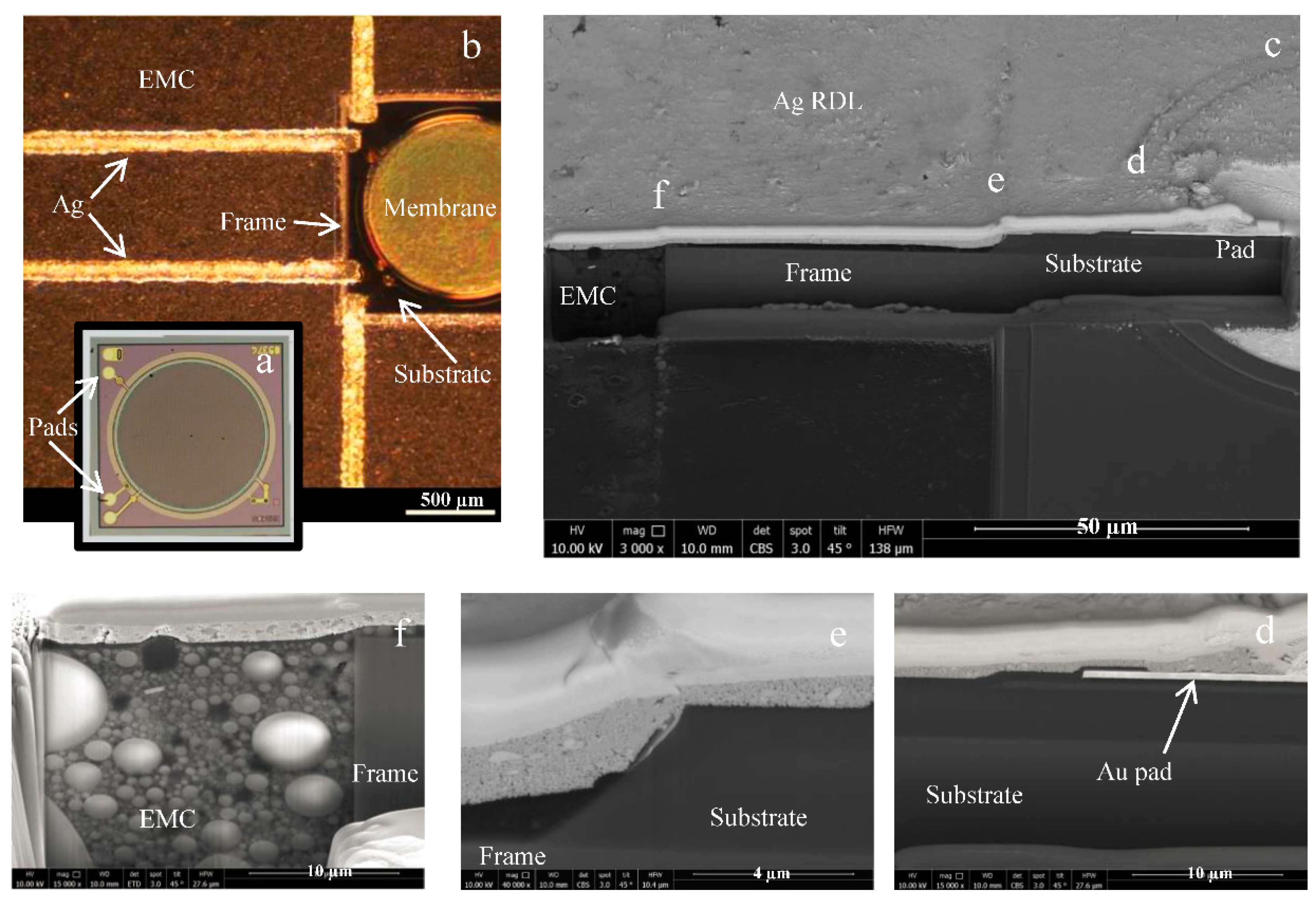 Proceedings 02 00703 g003