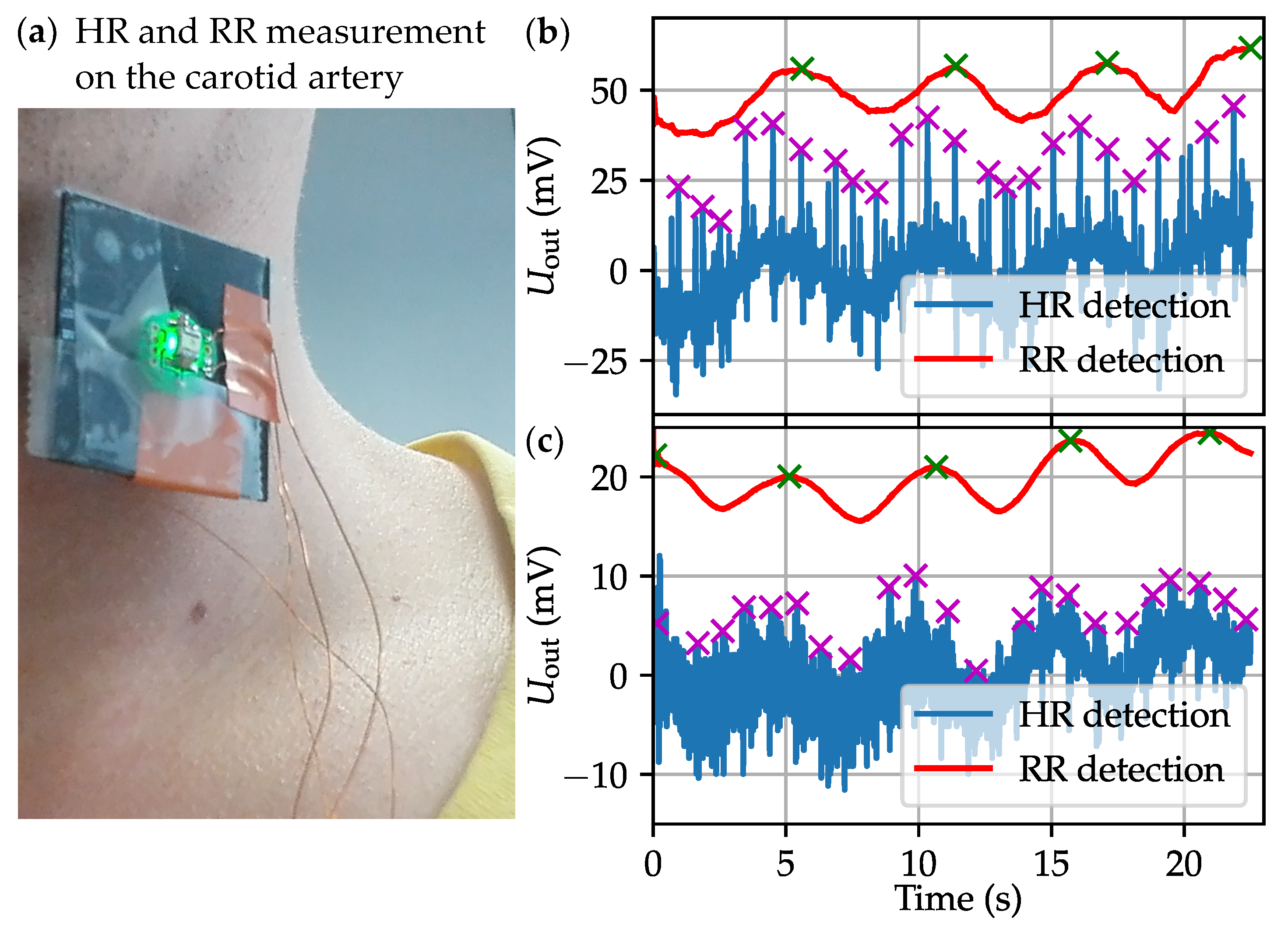 Proceedings 02 00715 g003