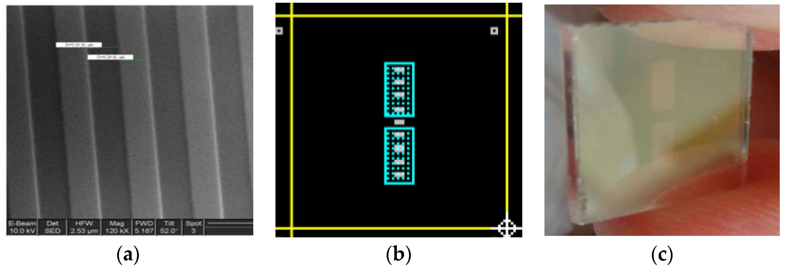 Proceedings 02 00863 g001