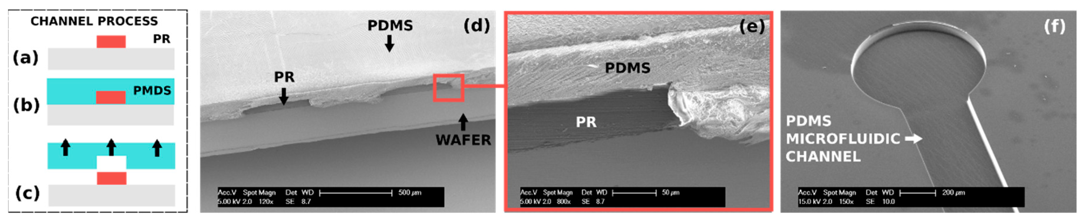Proceedings 02 00873 g002