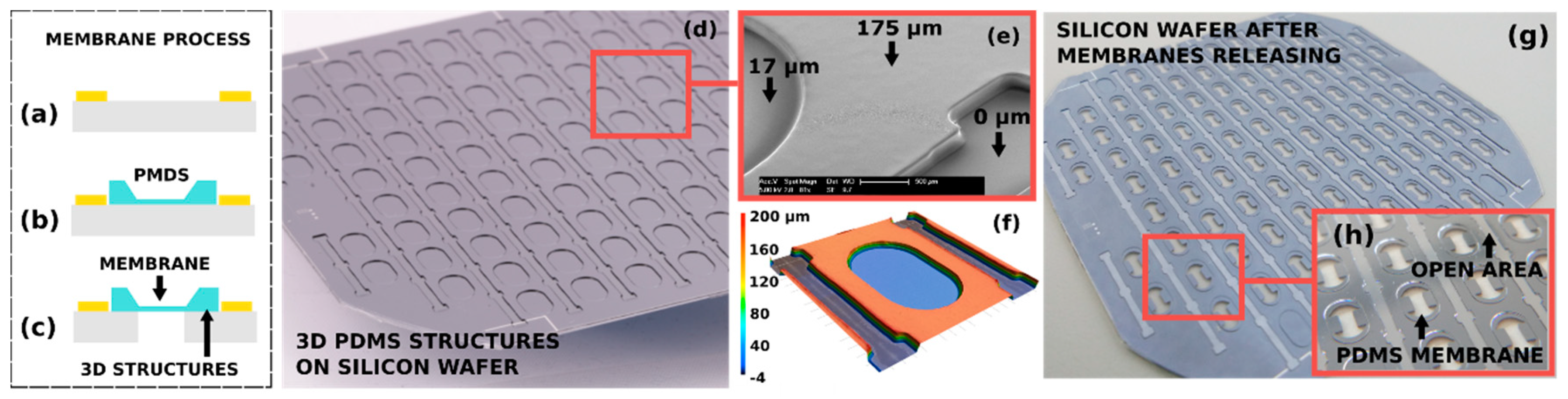 Proceedings 02 00873 g003