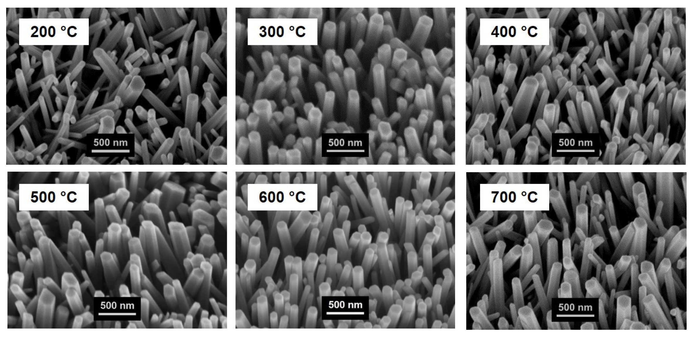 Proceedings 02 00887 g002