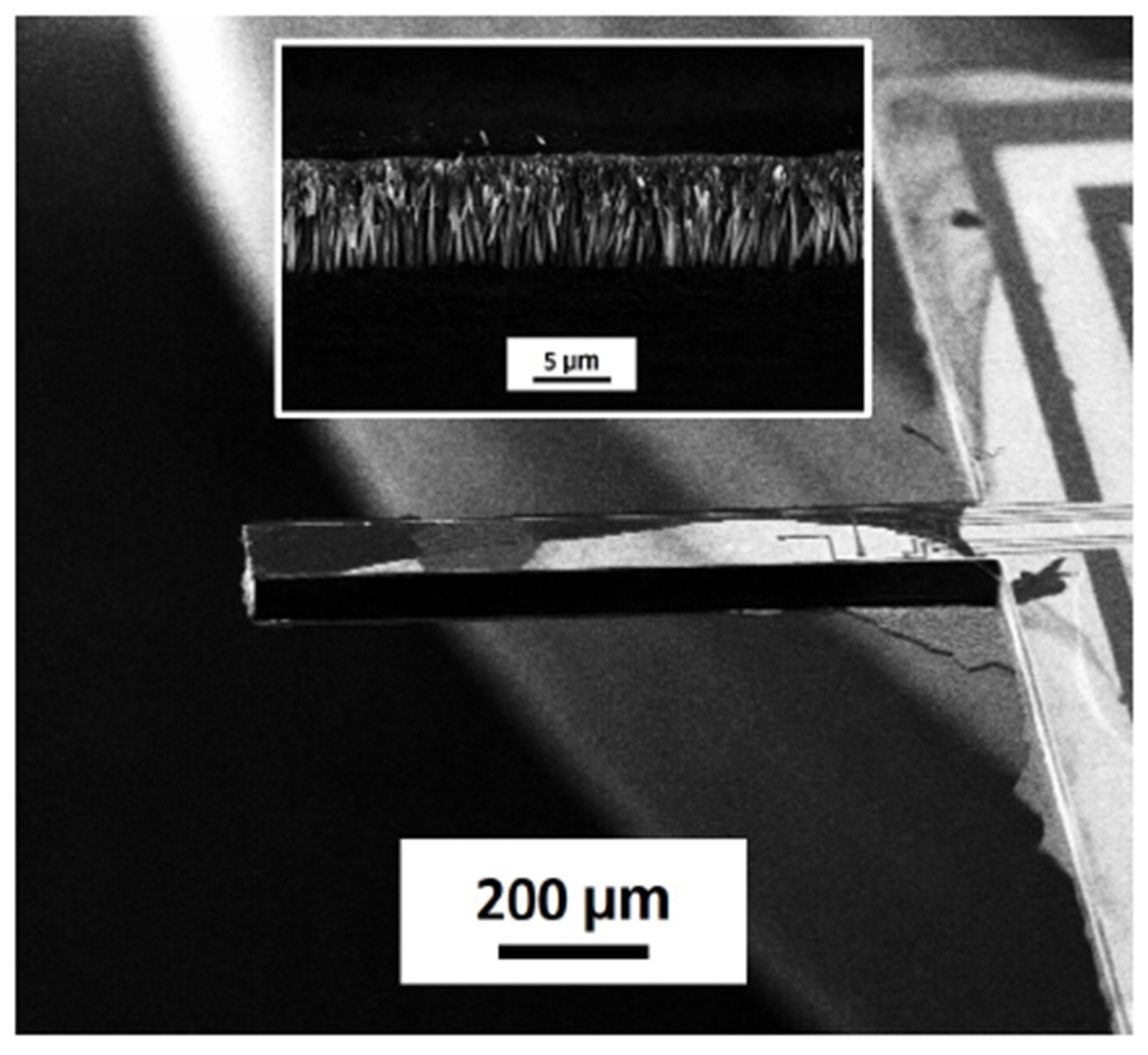 Proceedings 02 00887 g006