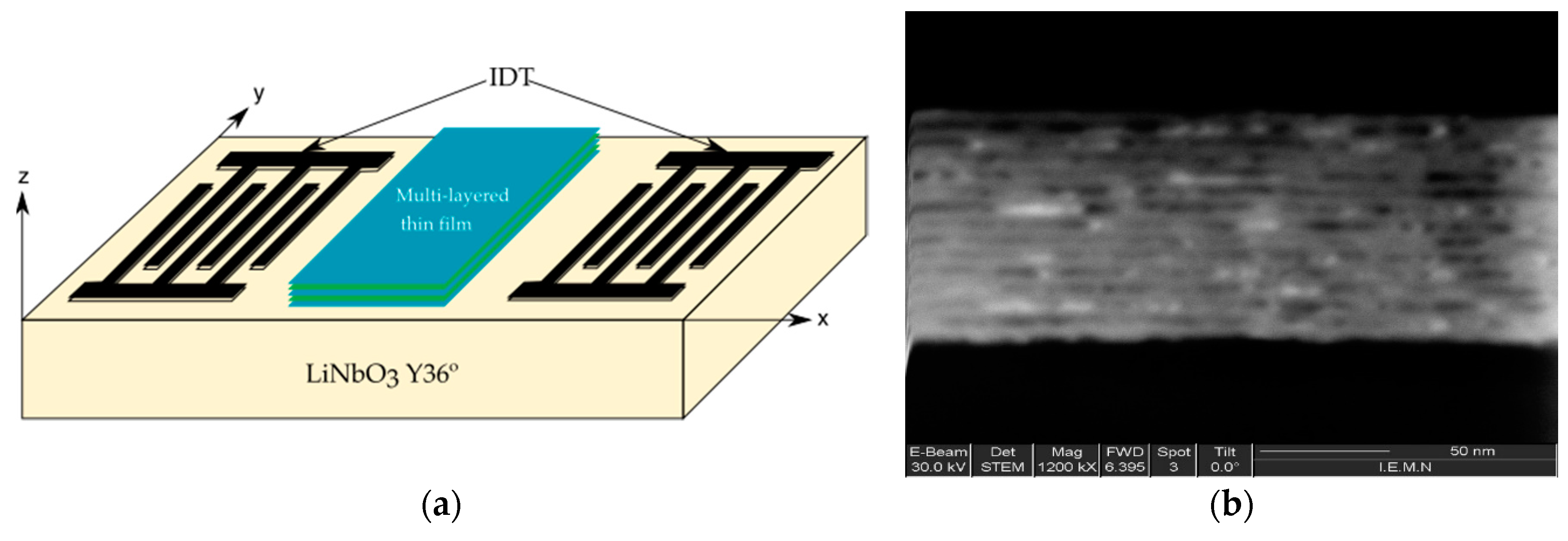 Proceedings 02 00902 g001