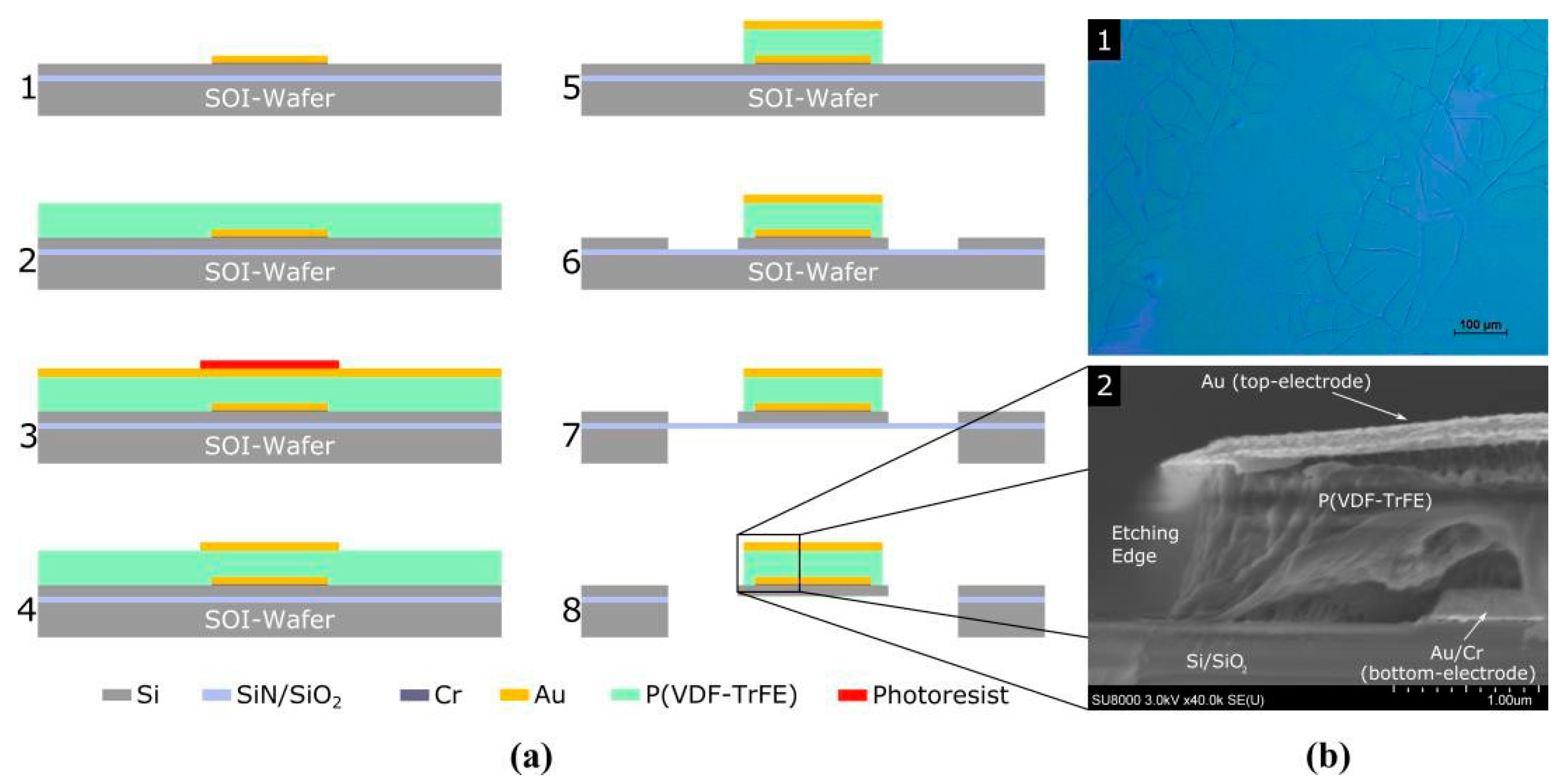 Proceedings 02 00904 g001
