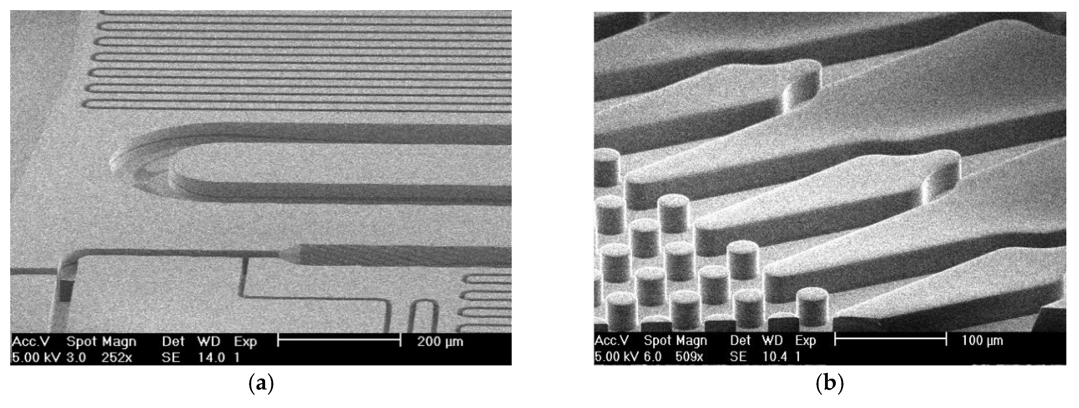 Proceedings 02 01018 g002