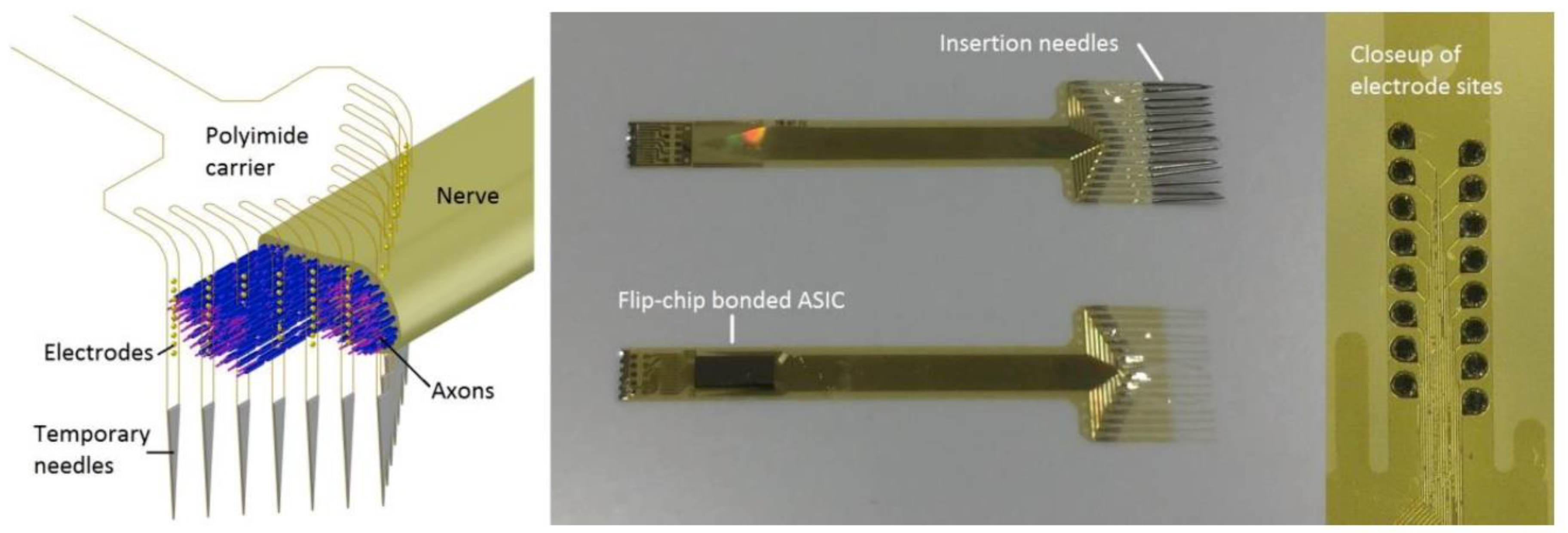 Proceedings 02 01066 g001