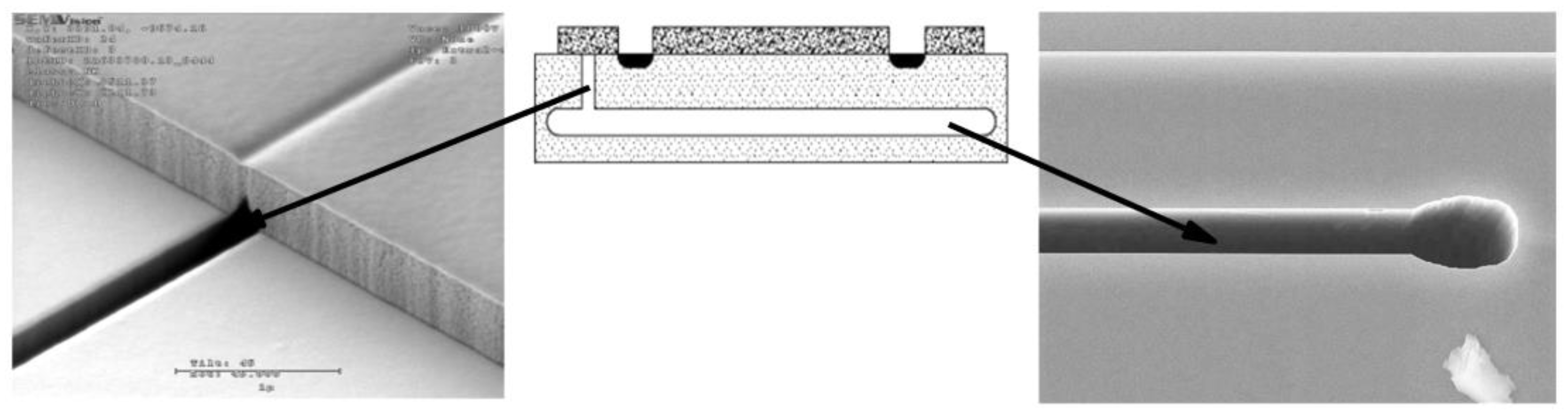 Proceedings 02 01079 g002