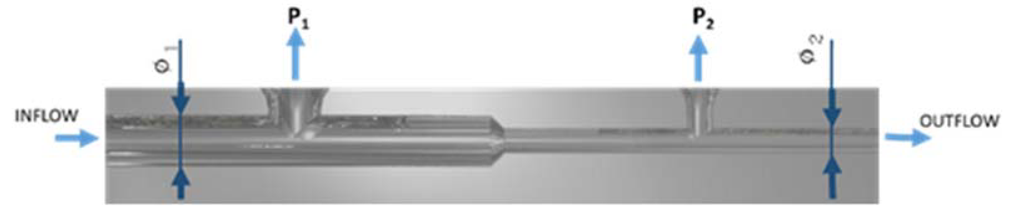 Proceedings 02 01509 g001