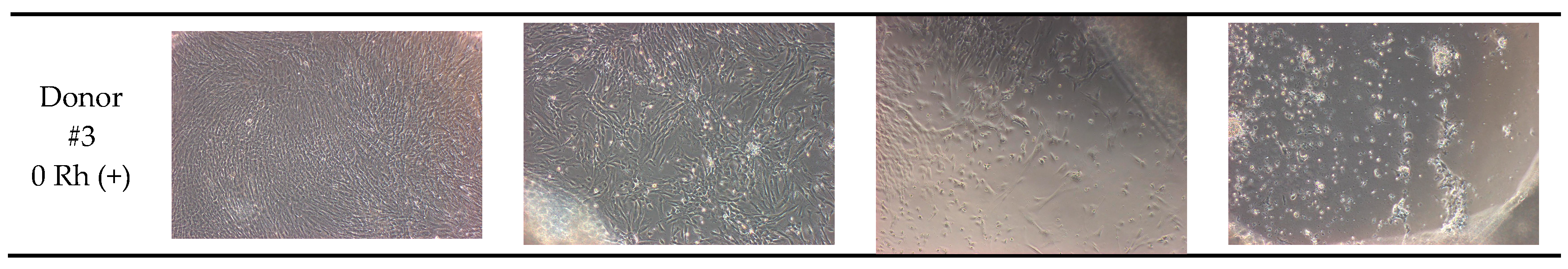 Proceedings 02 01535 g001b