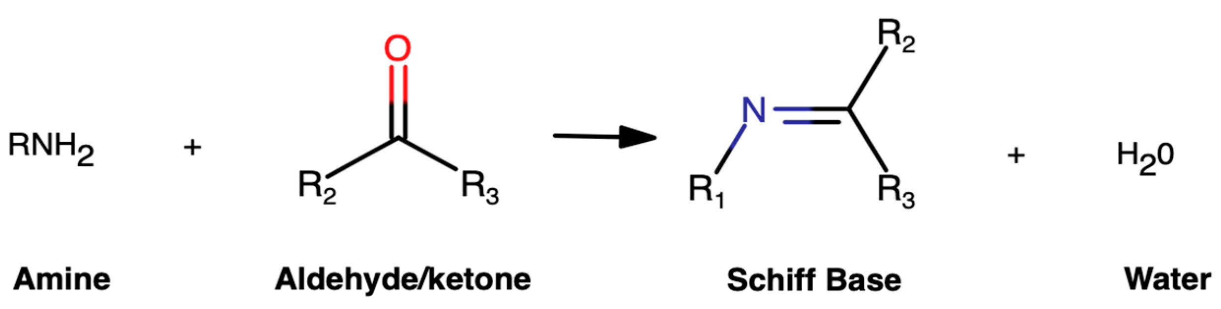 Proceedings 102 00055 g001