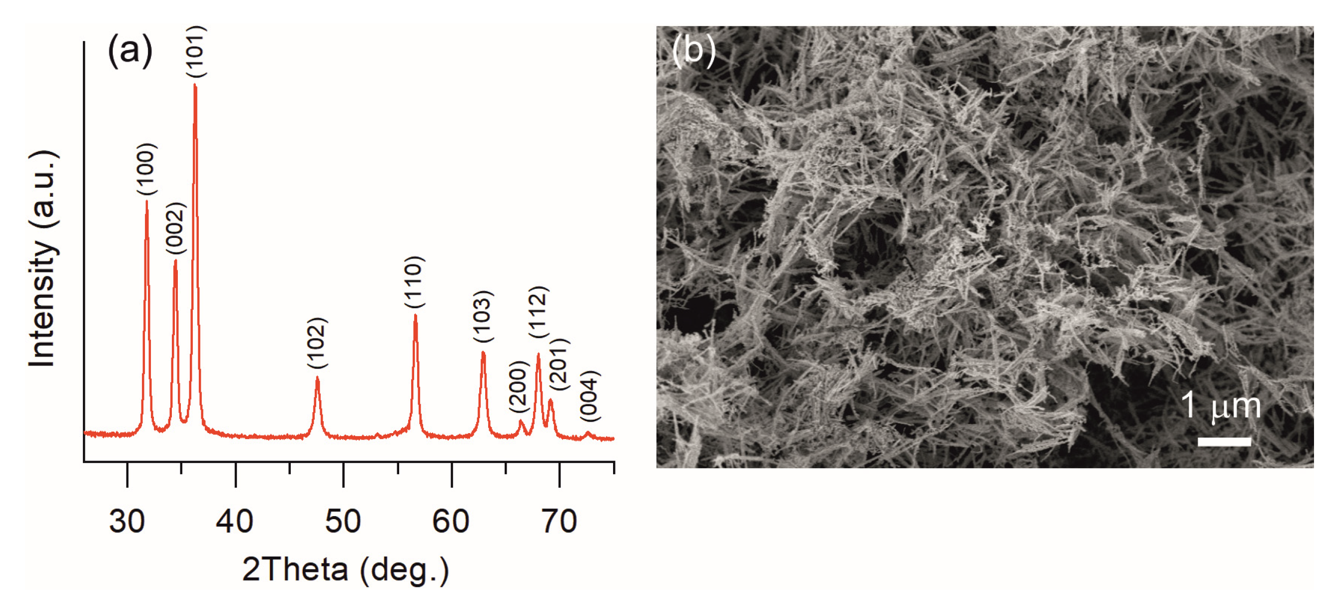 Proceedings 14 00021 g001