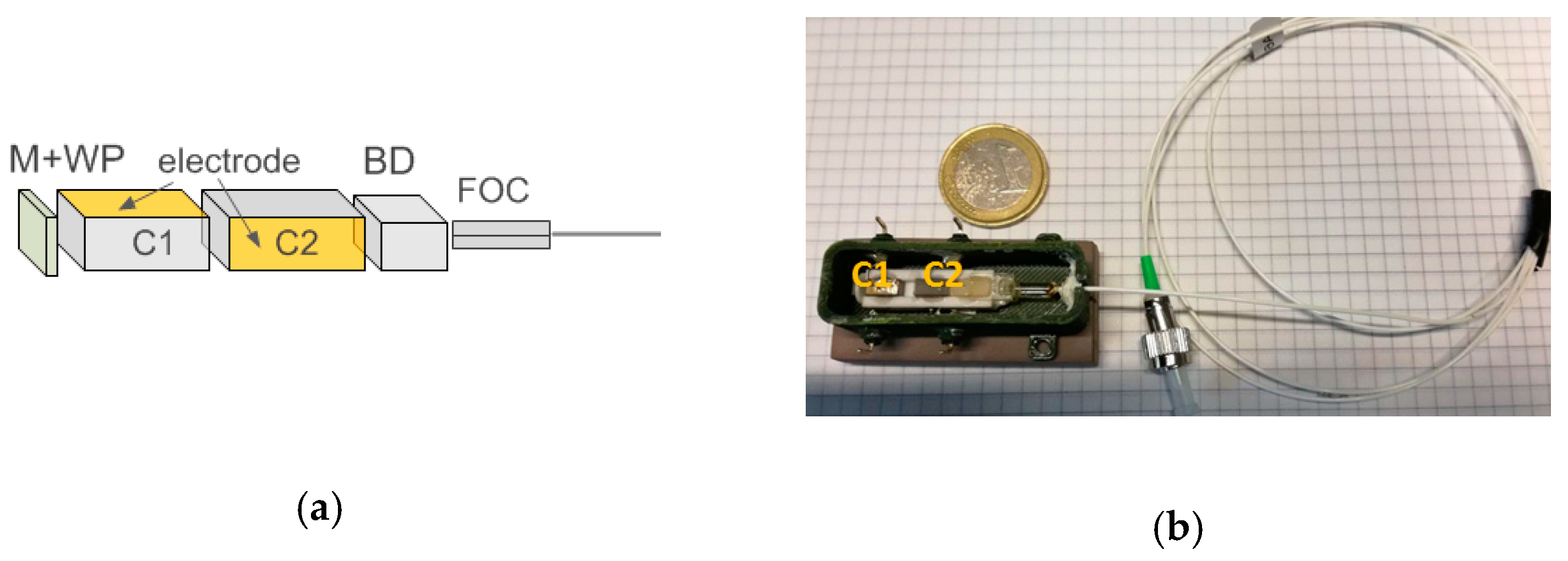 Proceedings 15 00017 g001
