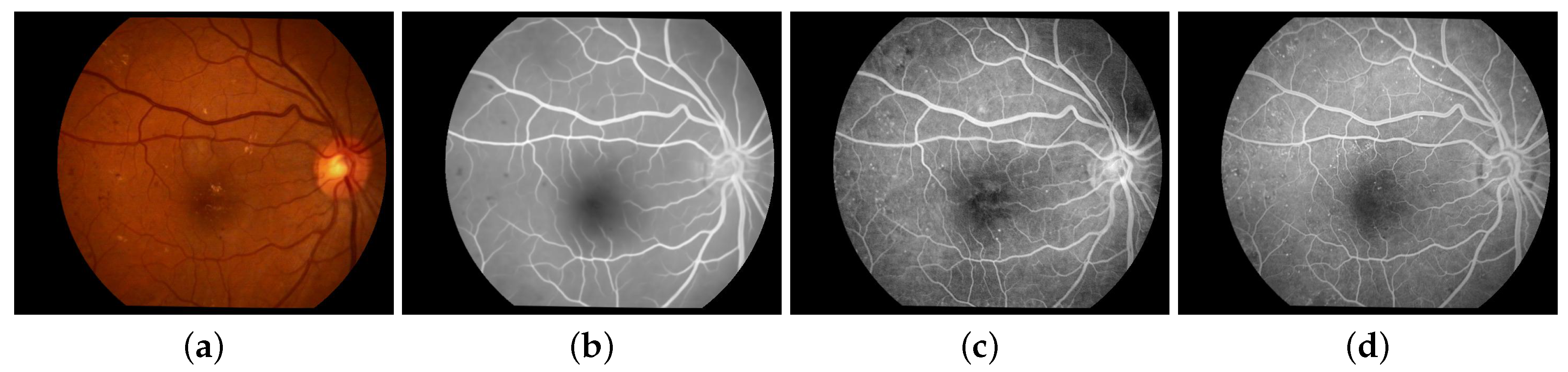 Proceedings 21 00045 g001