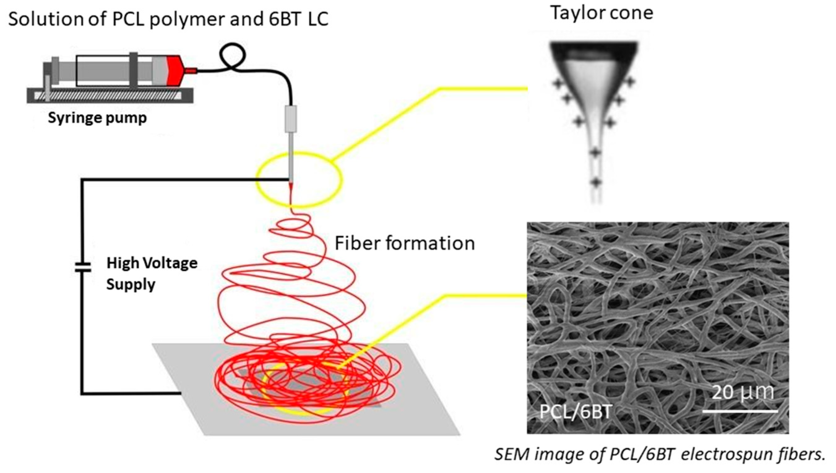 Proceedings 26 00010 g001