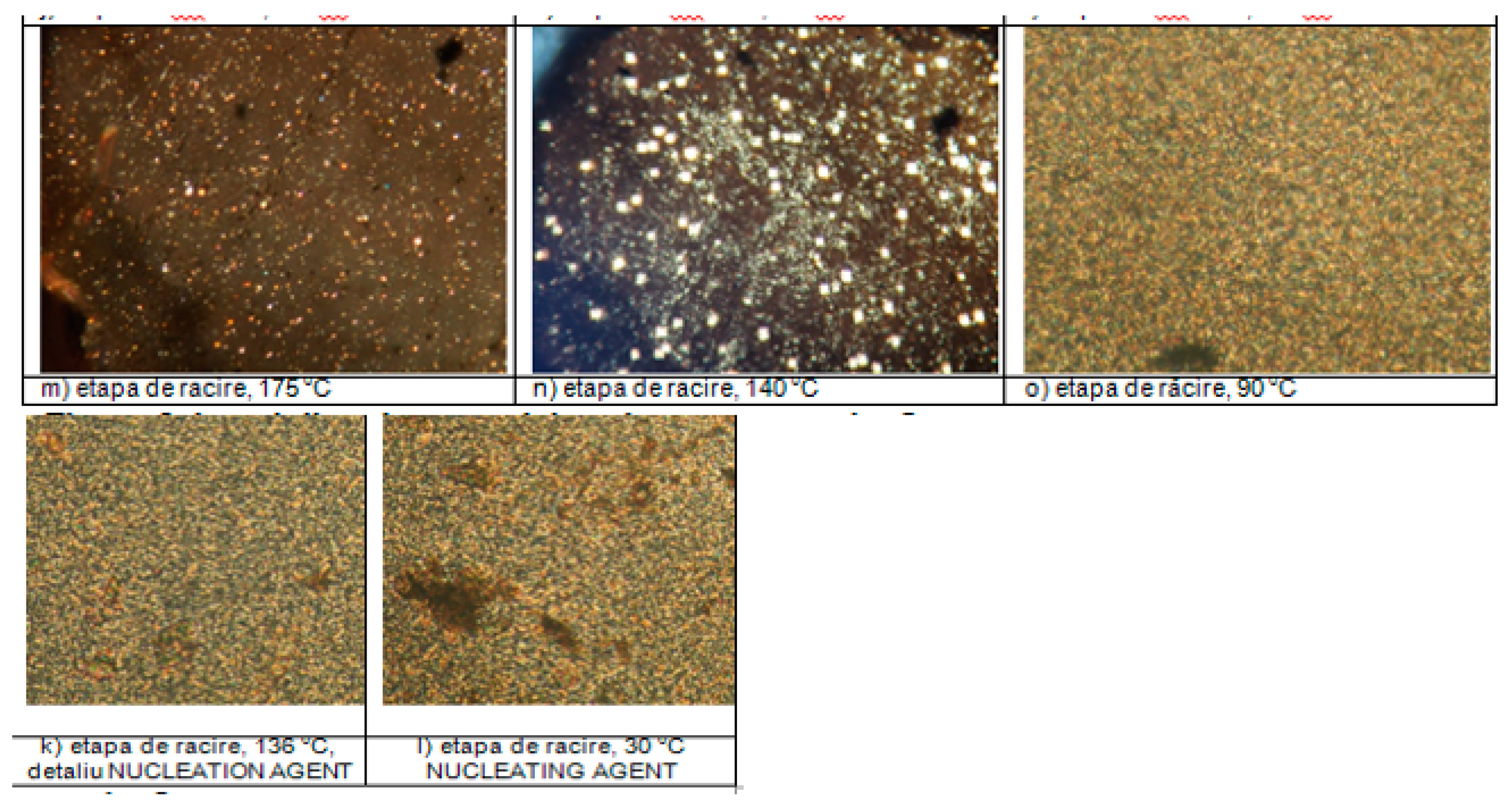 Proceedings 29 00018 g001