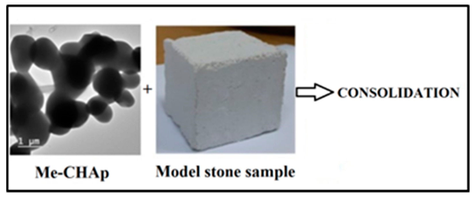 Proceedings 29 00037 g001