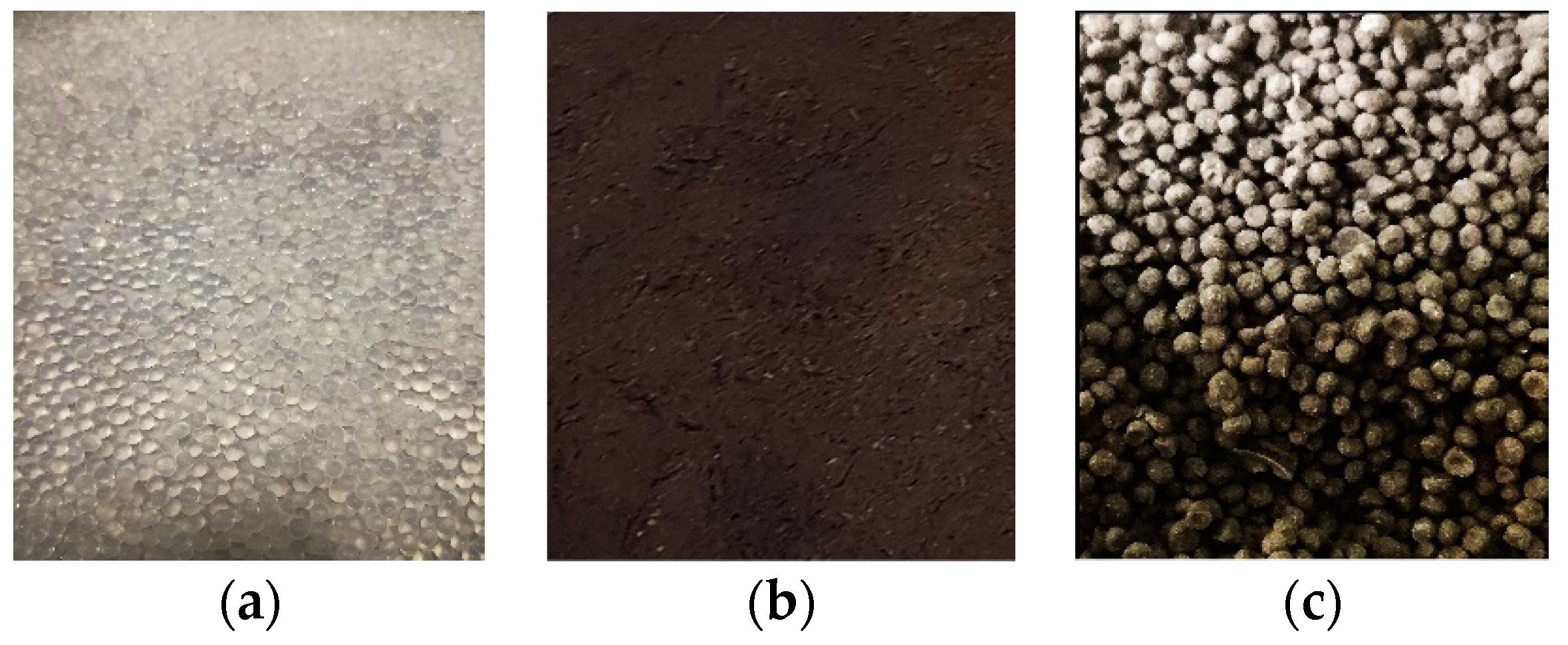 Proceedings 29 00050 g001