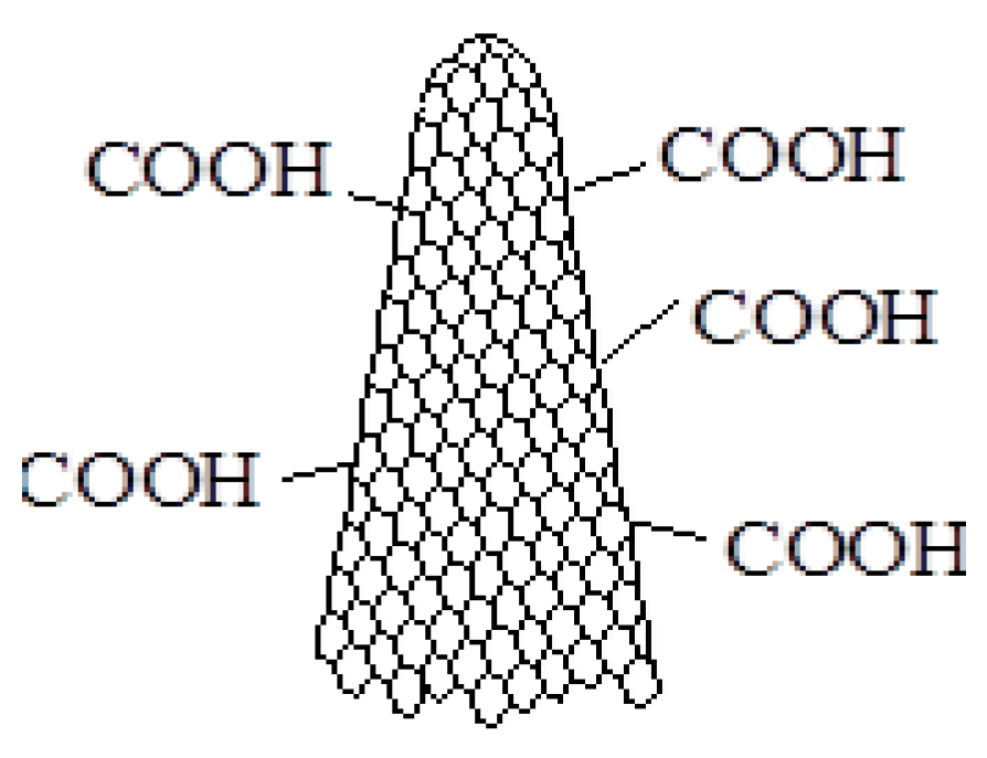 Proceedings 29 00114 g001
