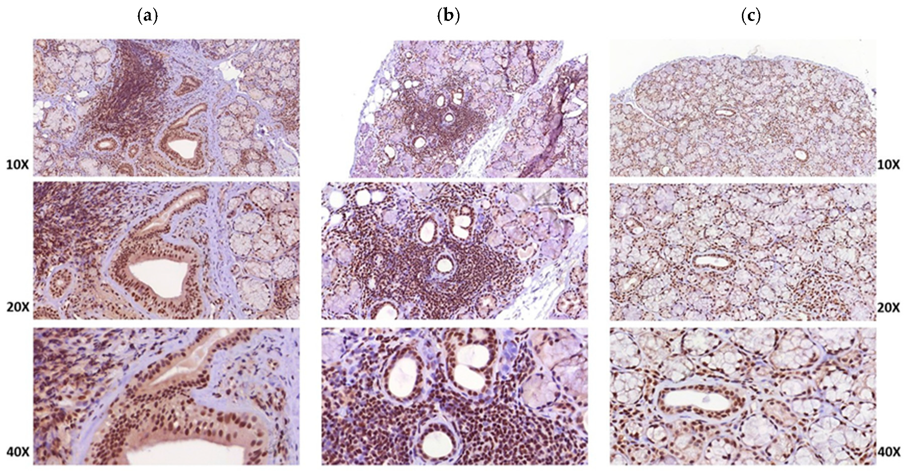 Proceedings 35 00030 g001