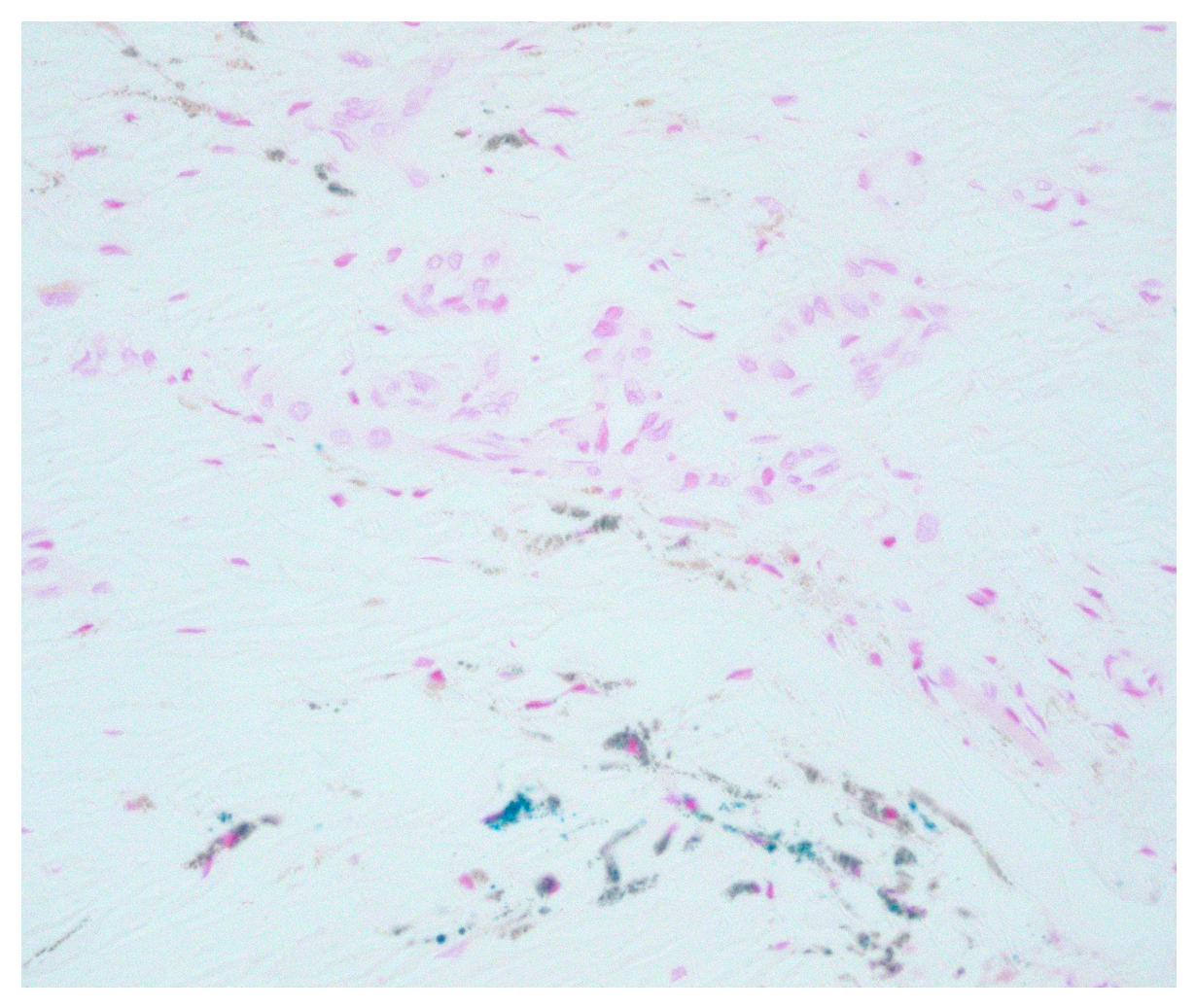 Proceedings 35 00045 g002 Proceedings 35 00045 g002