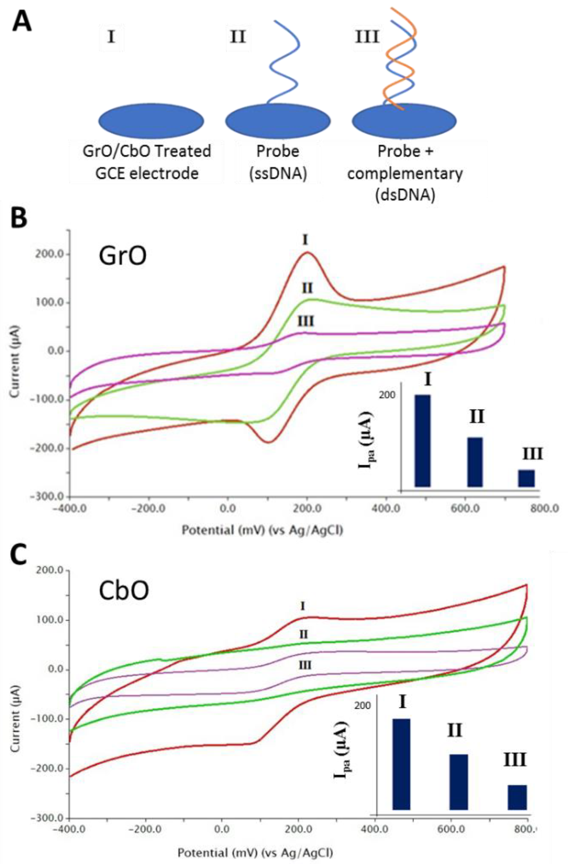 Proceedings 41 00070 g001