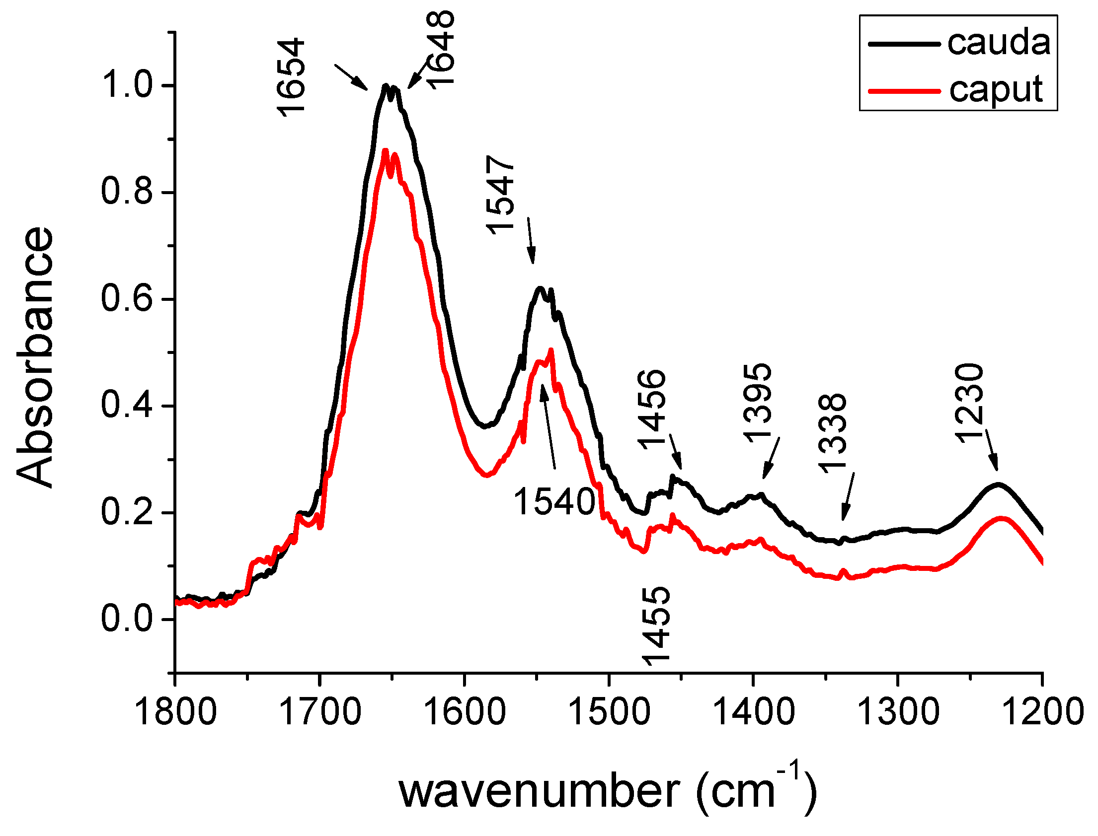 Proceedings Free Full Text Fourier Transform Infrared Microspectroscopy FT IR Study On