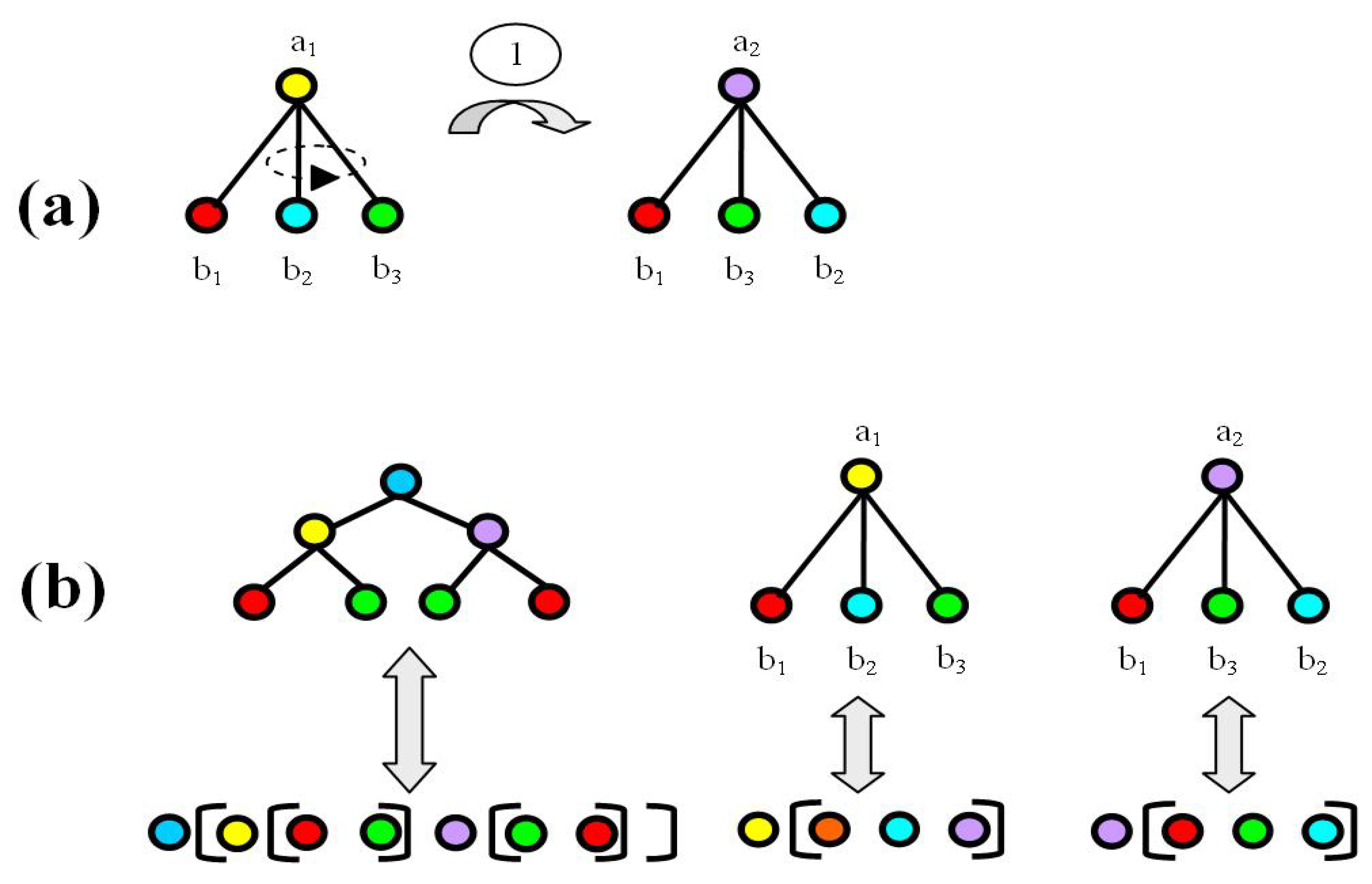 Proceedings 46 00030 g002