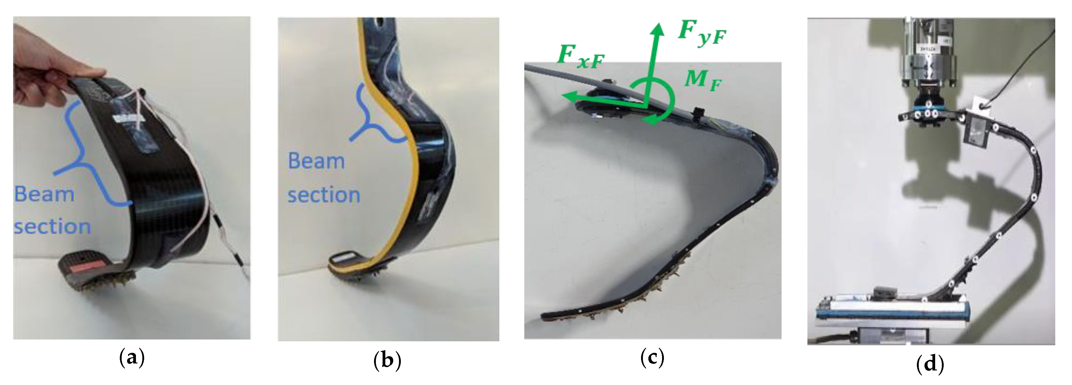 Proceedings 49 00074 g002
