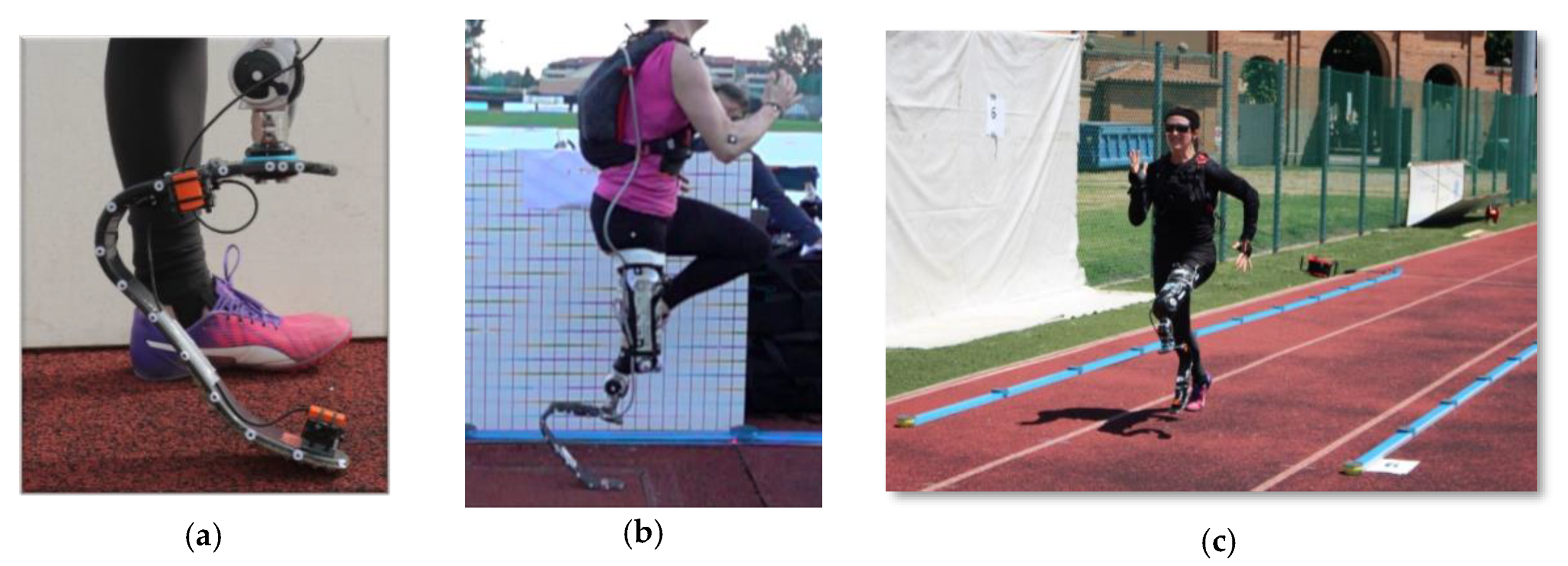 Proceedings 49 00074 g003