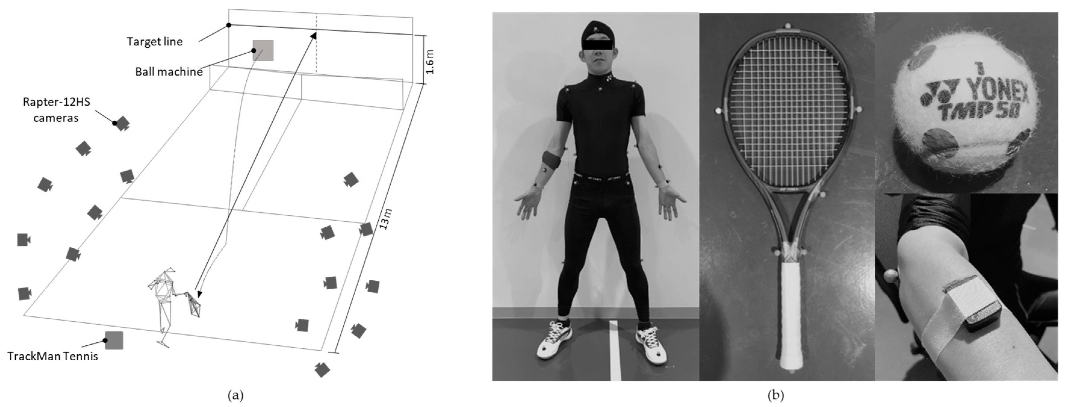 Proceedings | Free Full-Text | Influence of Ball Impact Location on Racquet  Kinematics, Forearm Muscle Activation and Shot Accuracy during the Forehand  Groundstrokes in Tennis