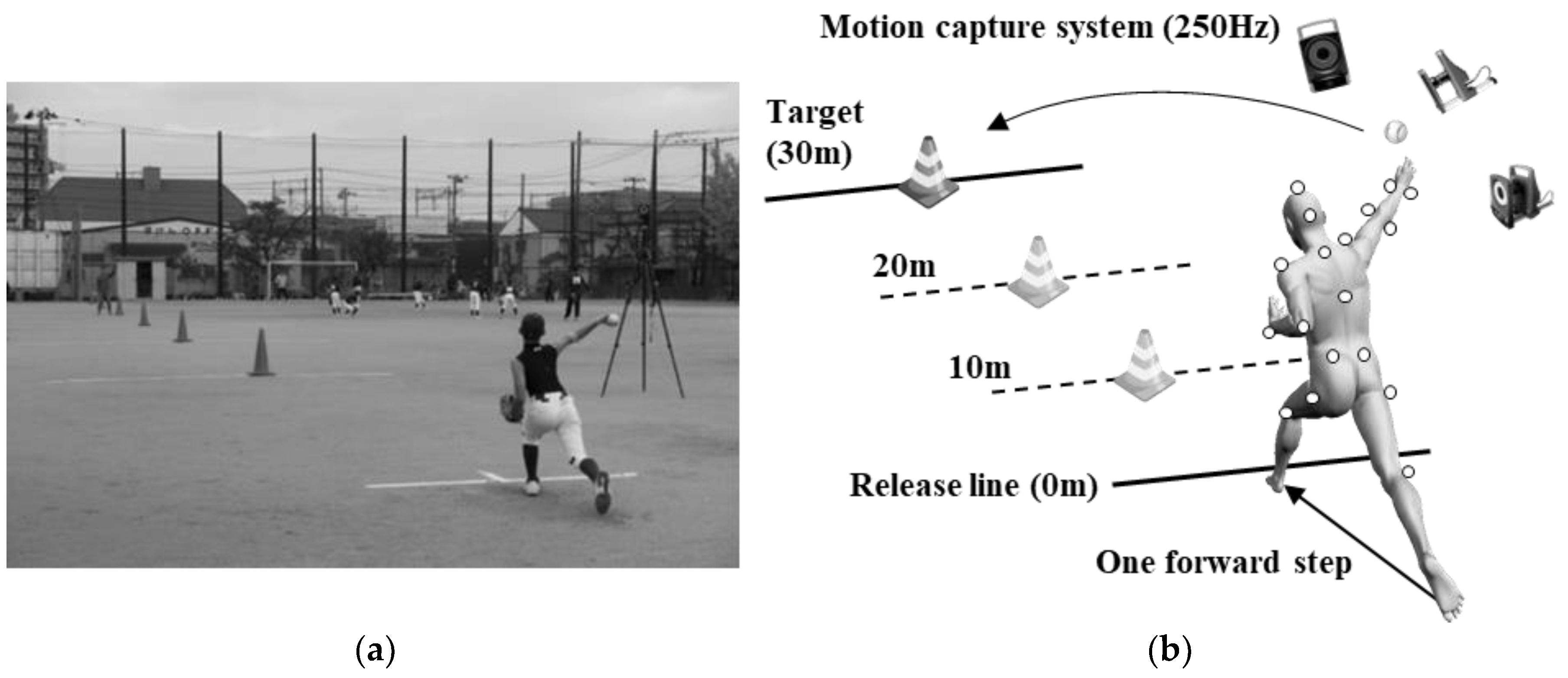 Proceedings 49 00118 g001