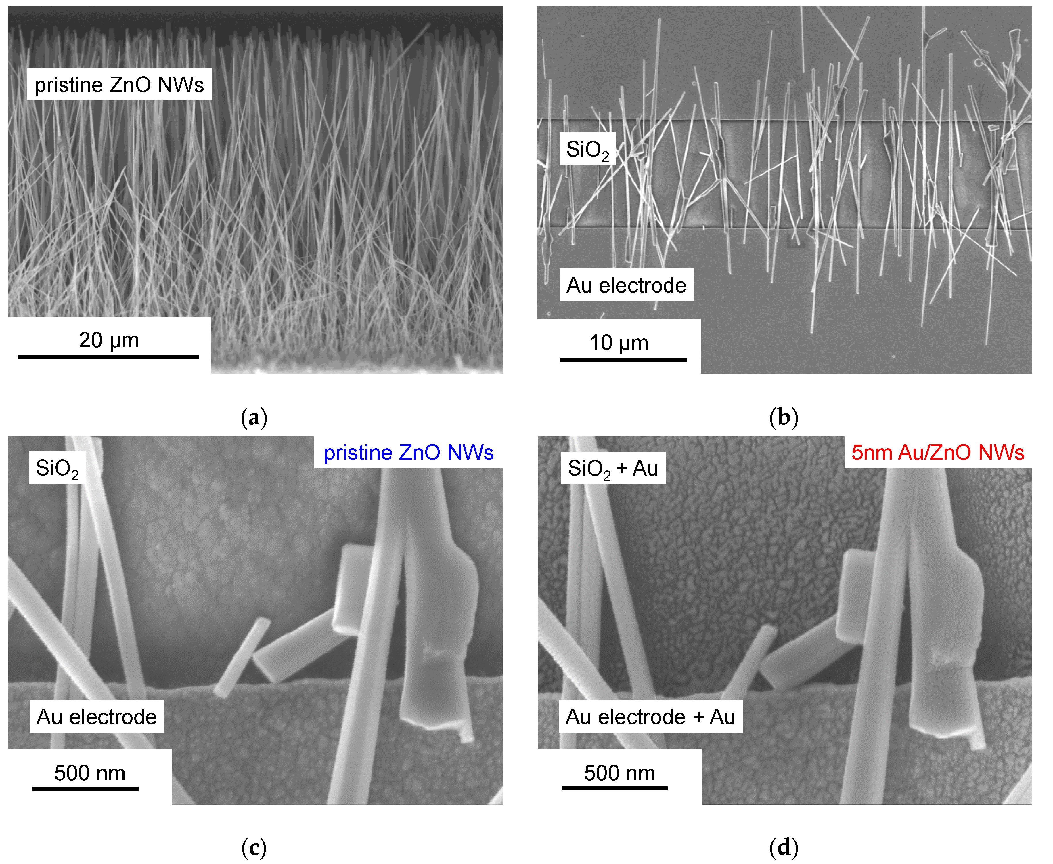 Proceedings 60 00007 g001