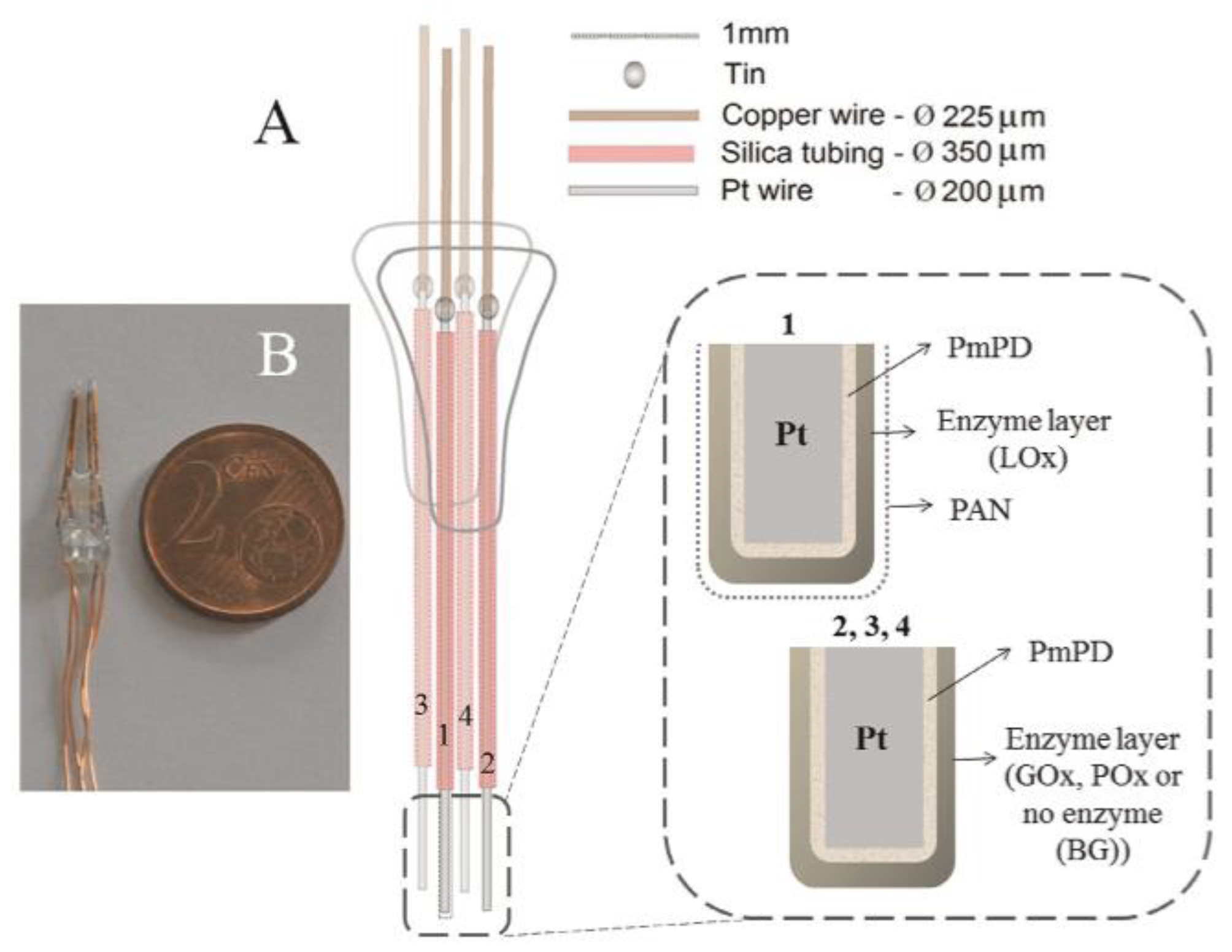 Proceedings 60 00020 g001
