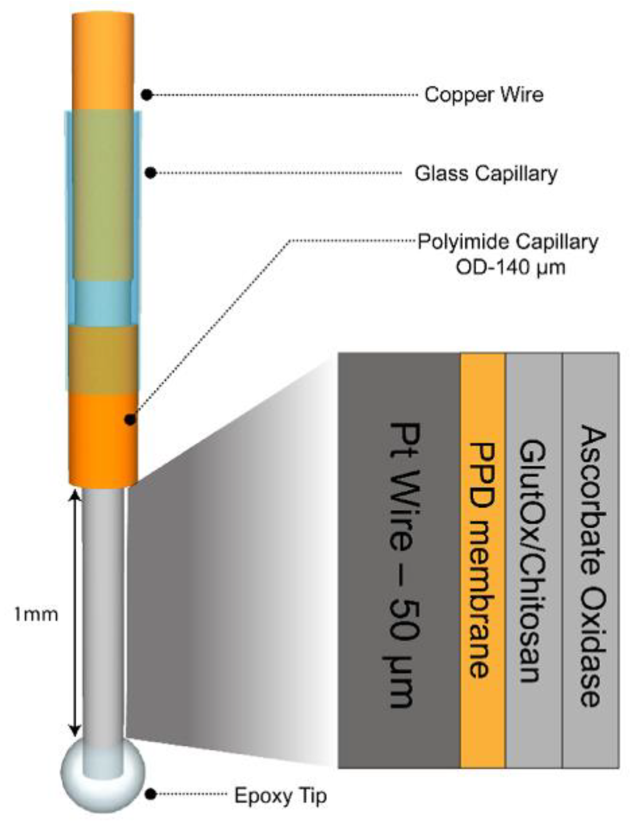 Proceedings 60 00020 g002
