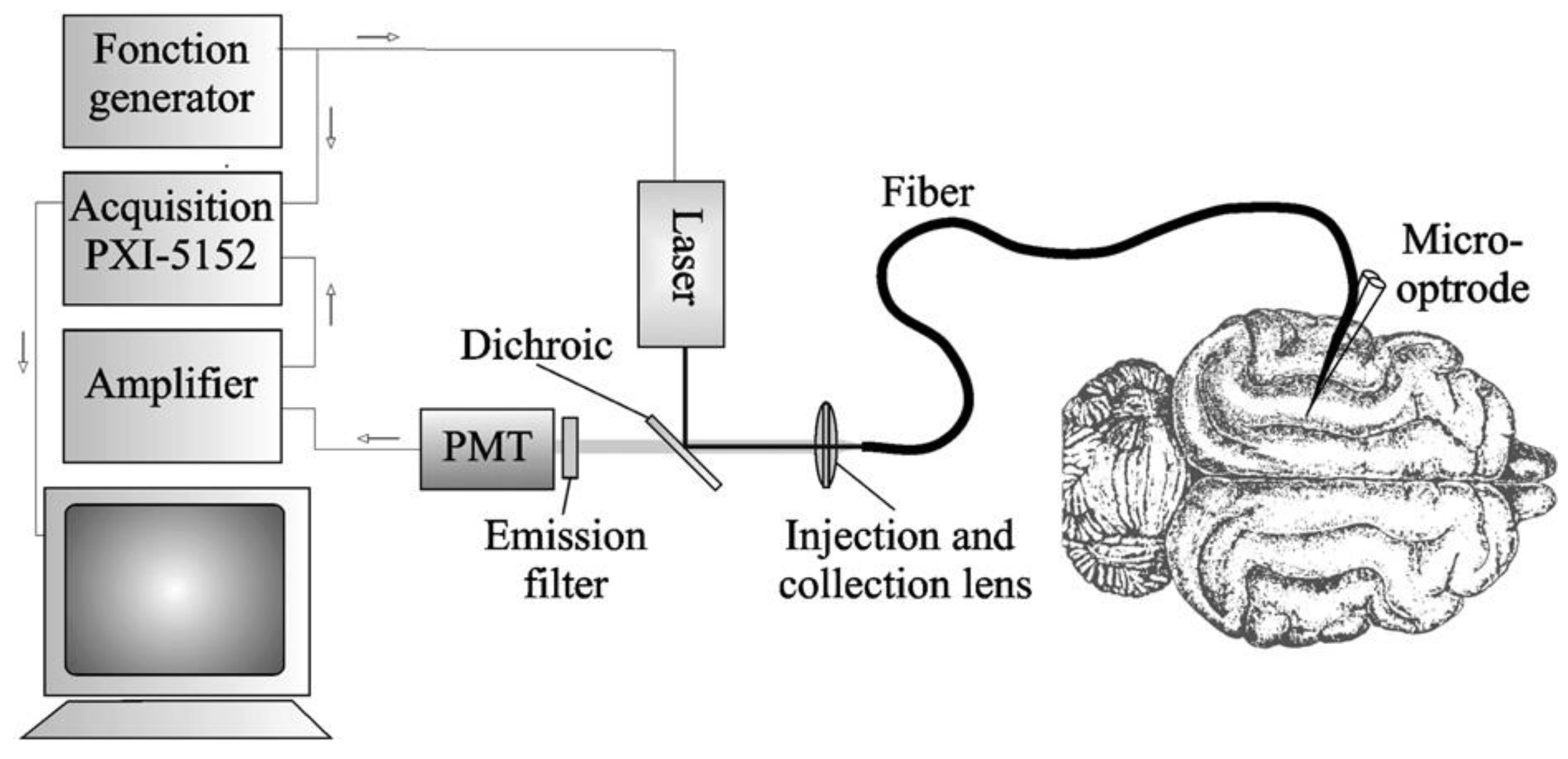 Proceedings 60 00020 g004