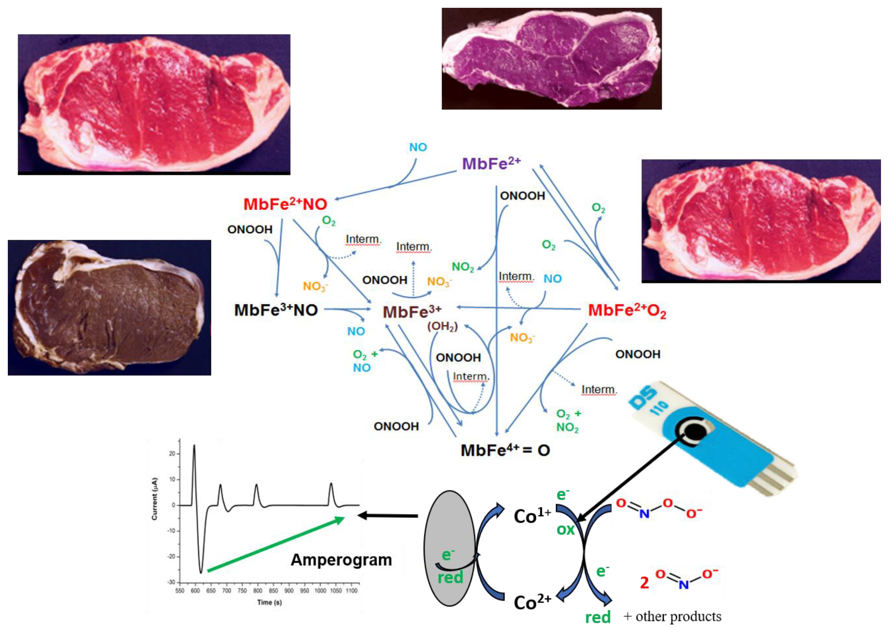 Proceedings 60 00046 g001