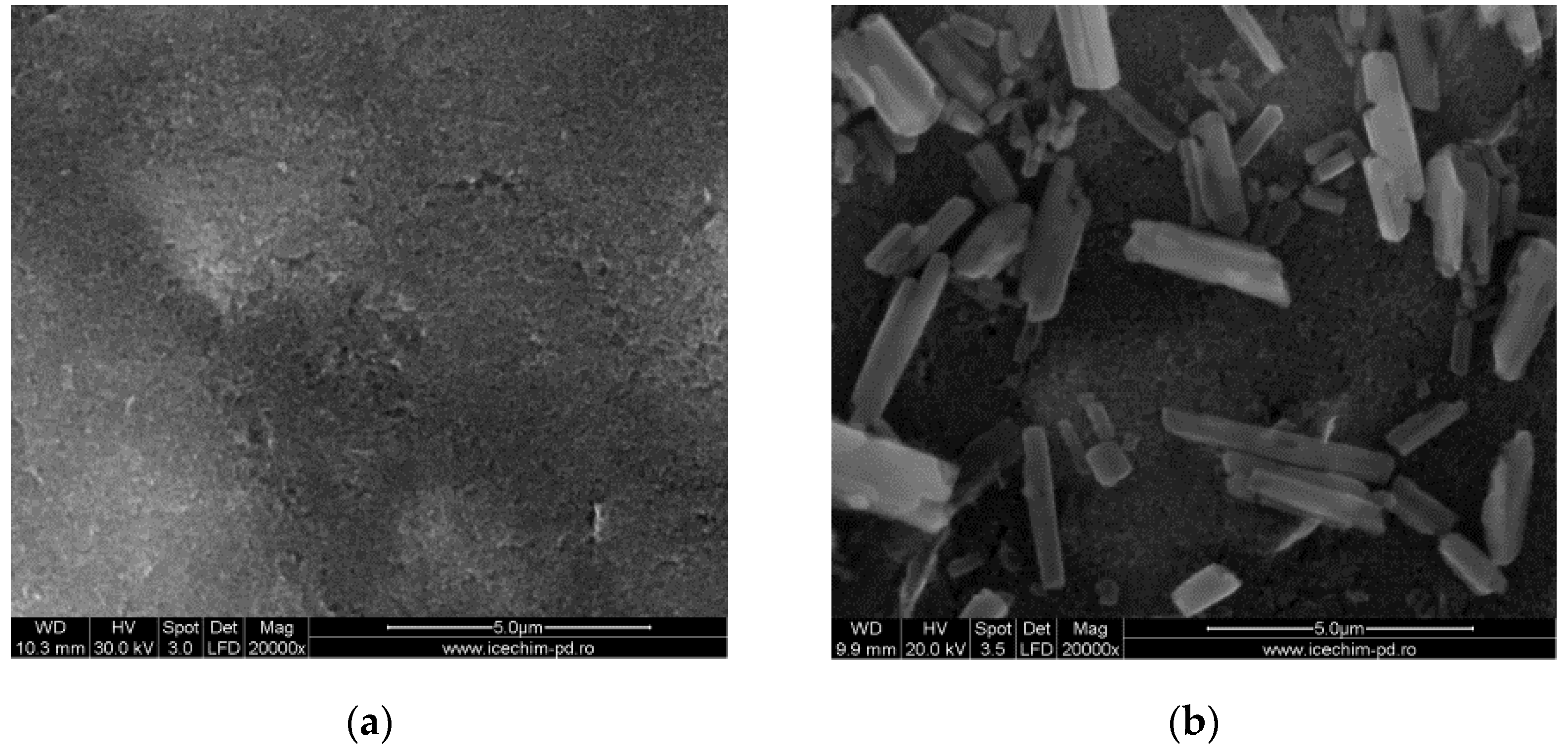 Proceedings 60 00046 g004a