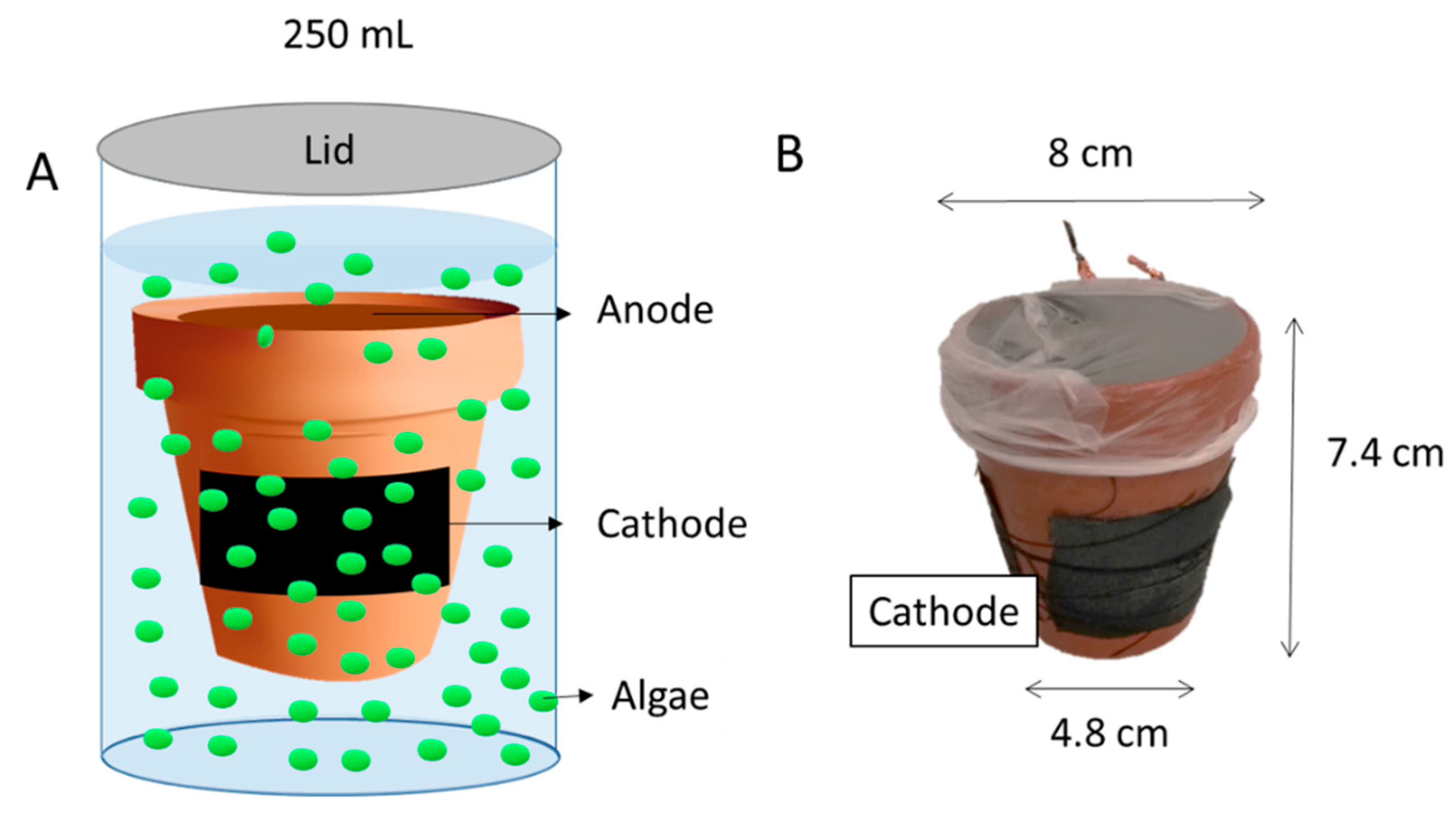 Proceedings 60 00064 g001