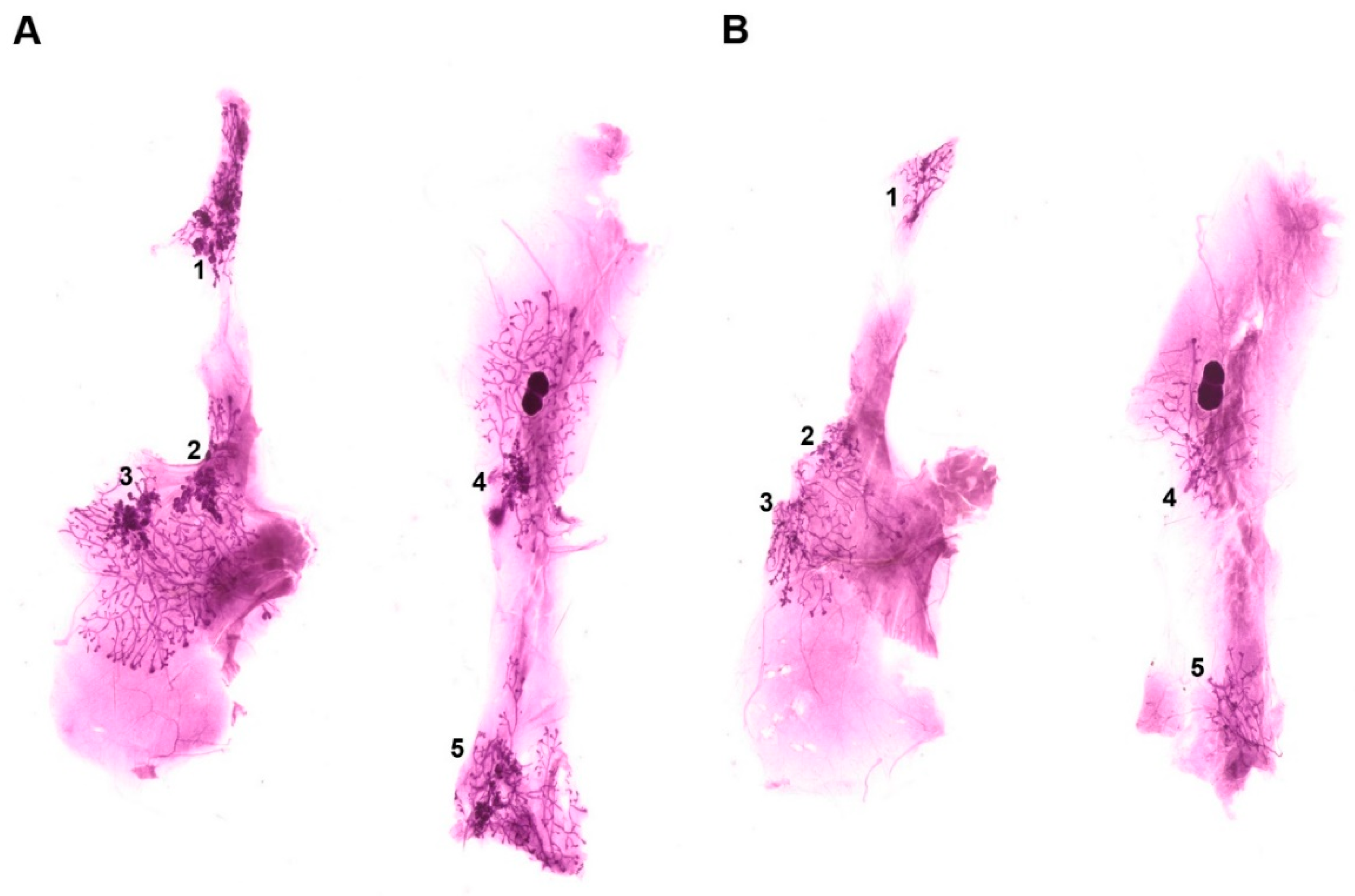 Proceedings 61 00014 g002