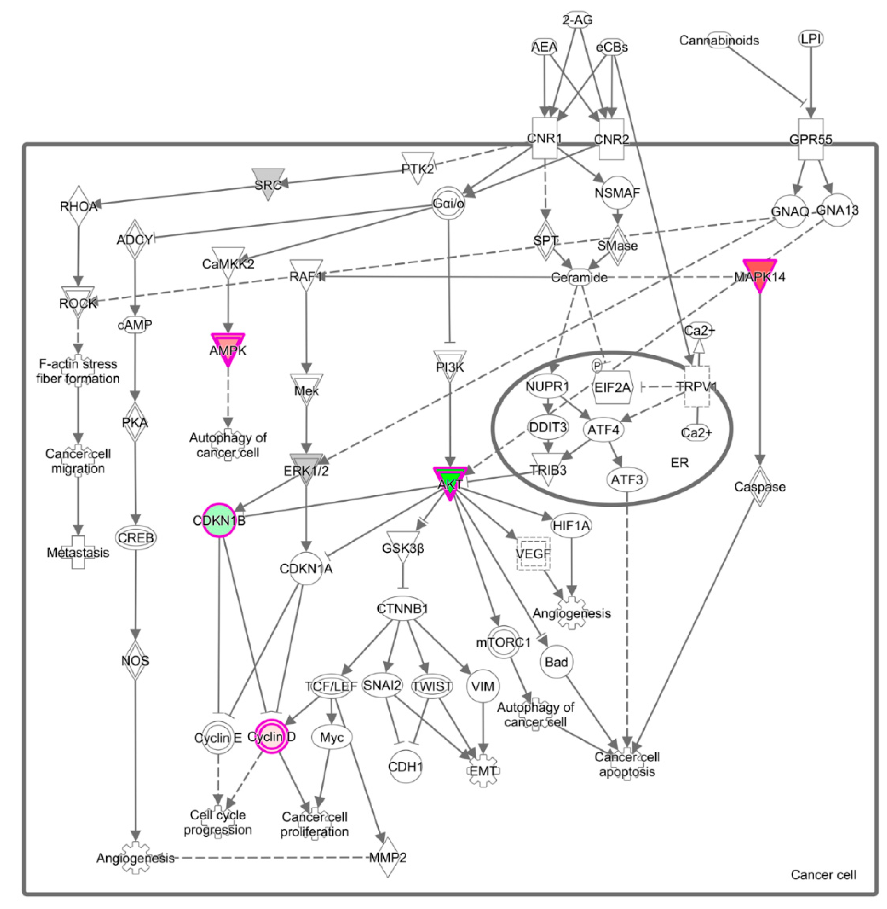 Proceedings 61 00014 g004