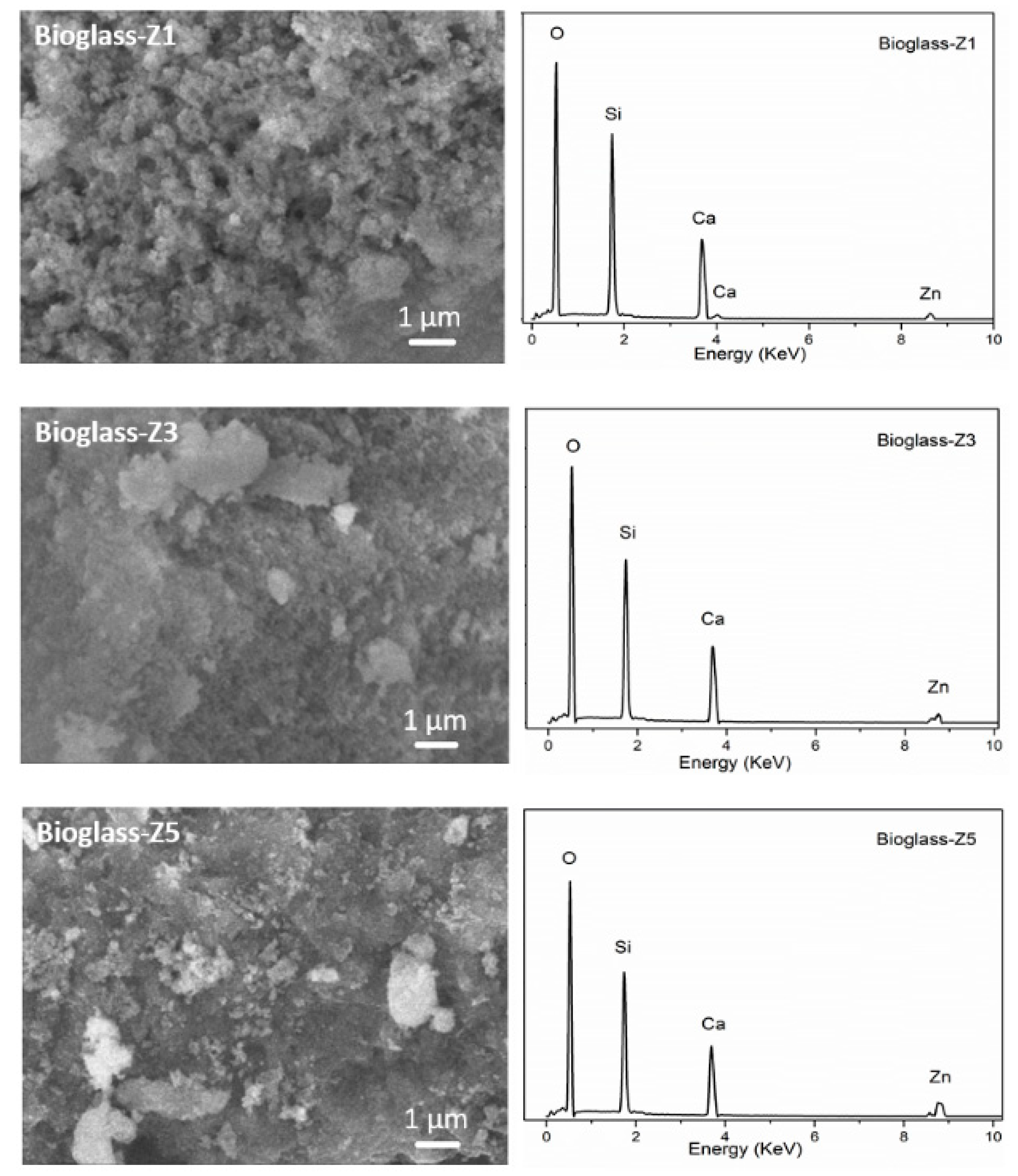 Proceedings 62 00006 g003