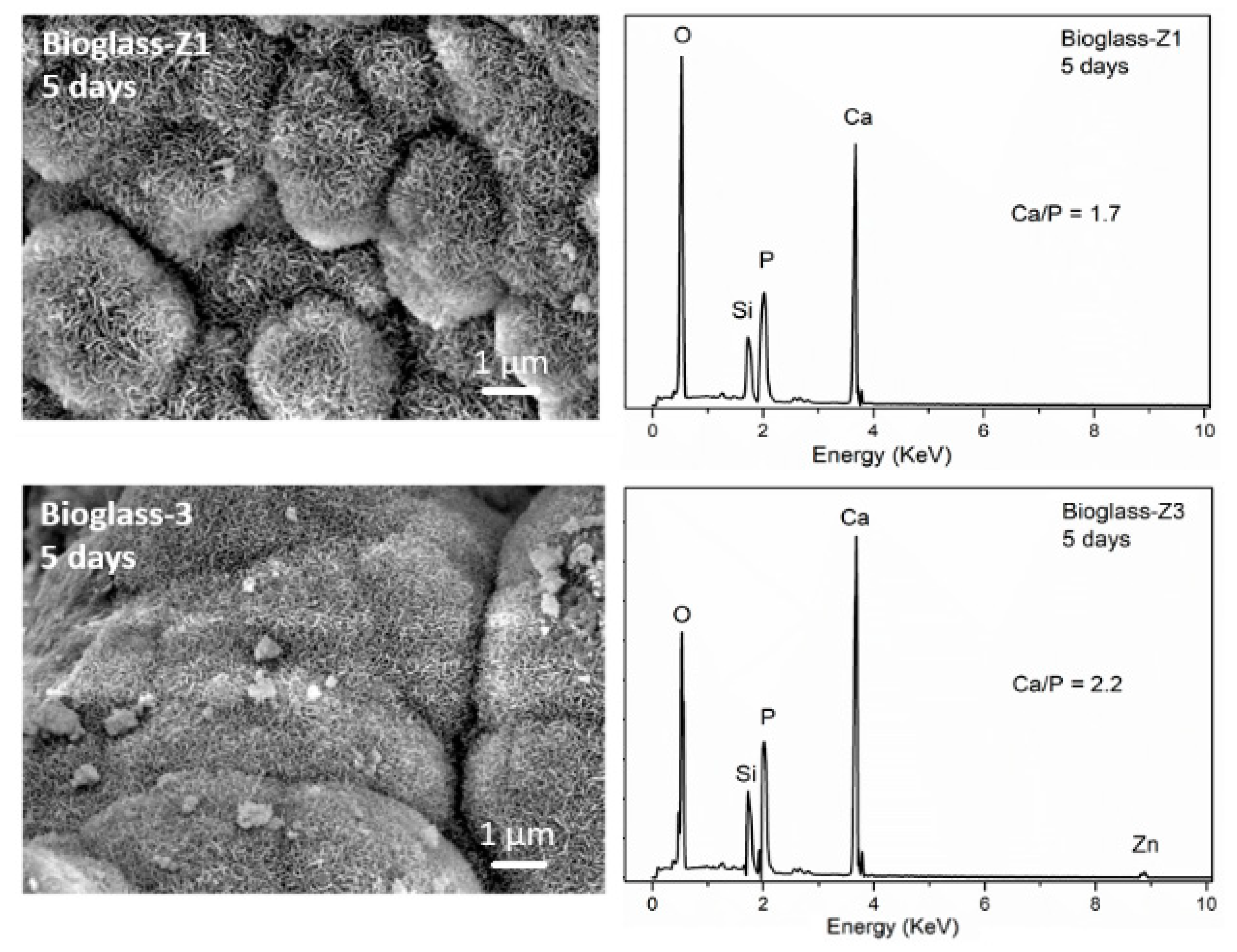 Proceedings 62 00006 g005a