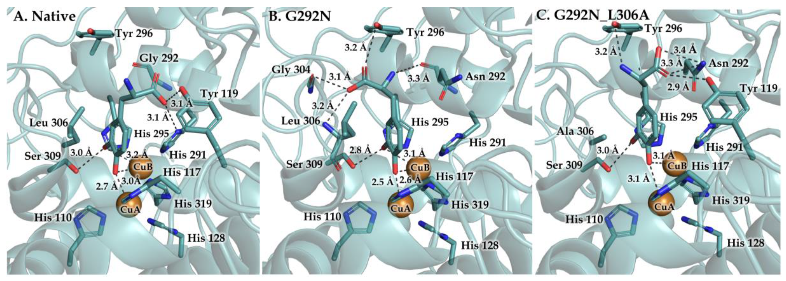 Proceedings 66 00010 g001