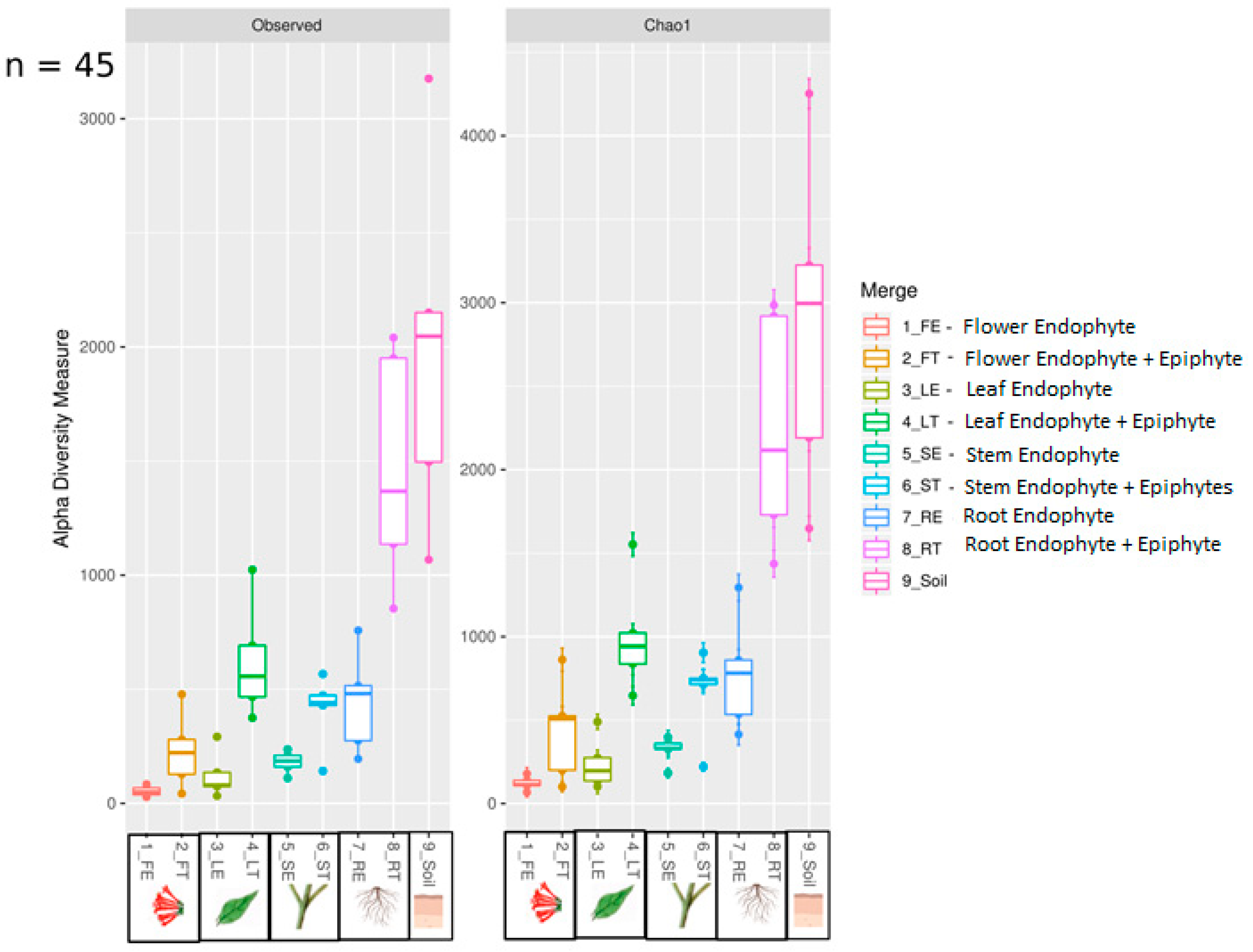 Proceedings 66 00034 g002