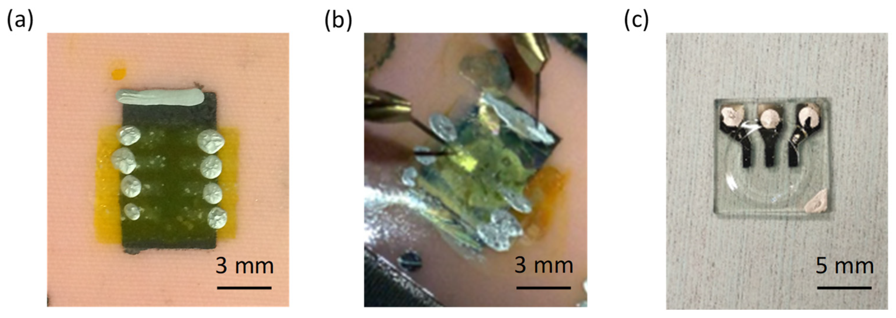 Proceedings 68 00009 g002