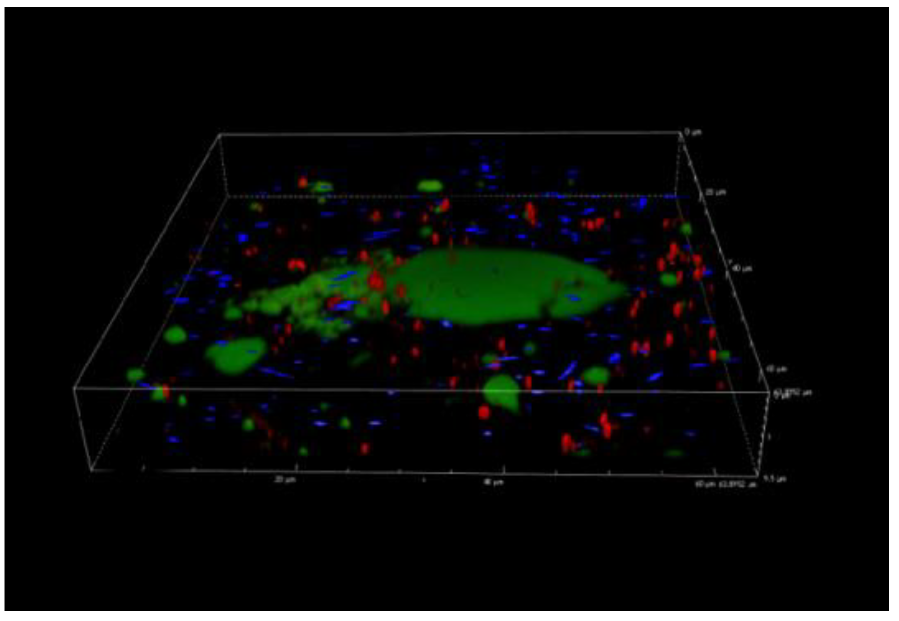 Proceedings 70 00080 g004