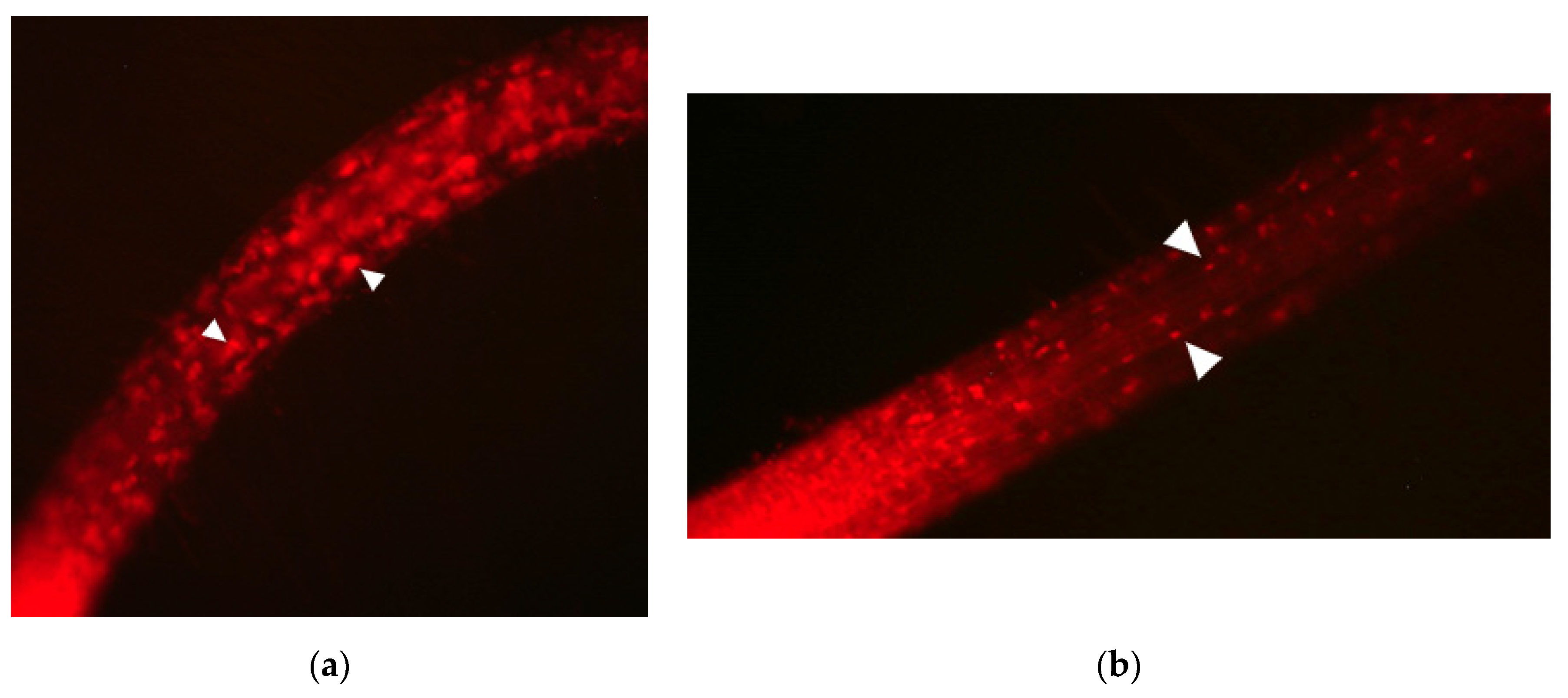 Proceedings 76 00007 g001